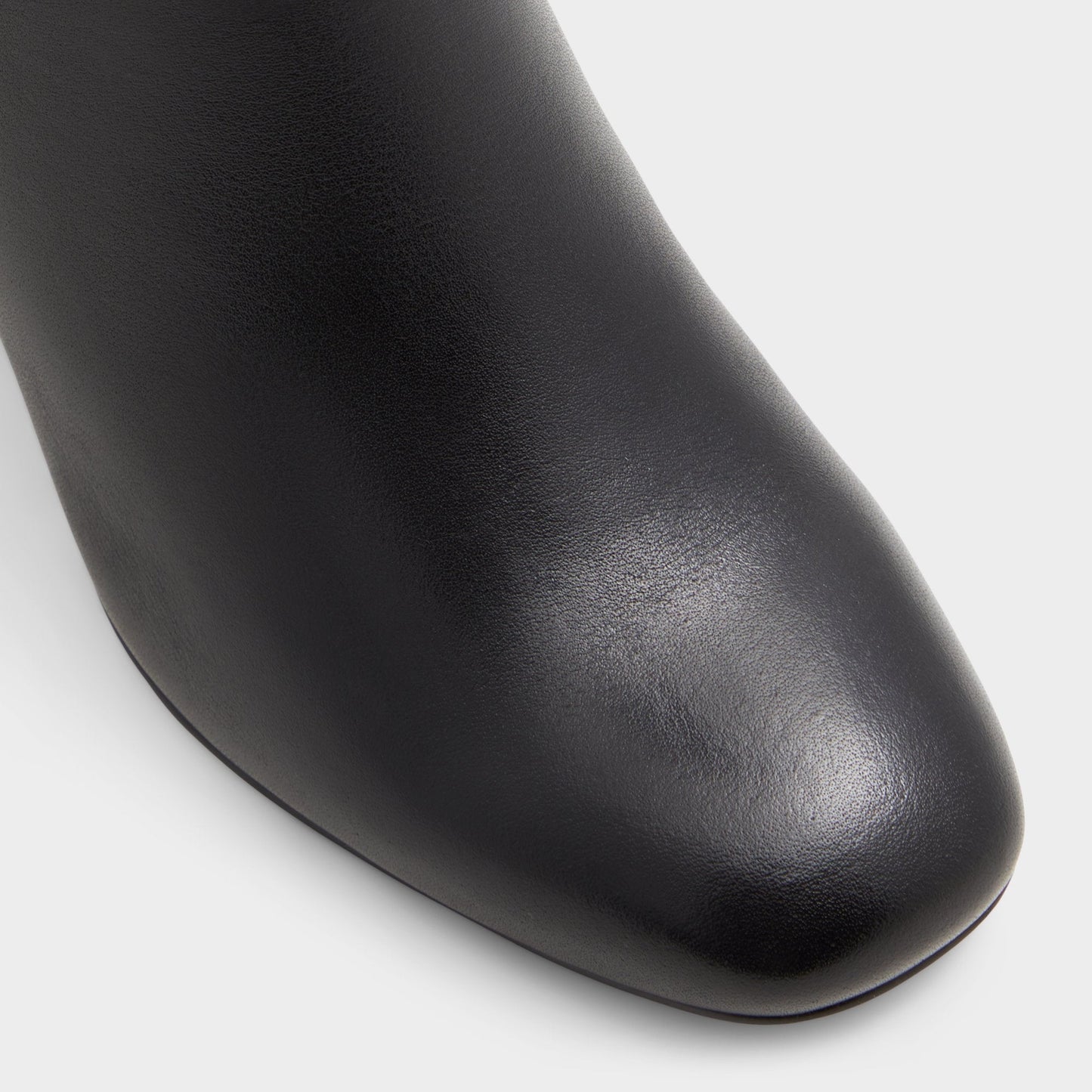 Satori-wc Black/Black Women's Tall Boots - Knee-high boot, Block heel Aldo Black/black
