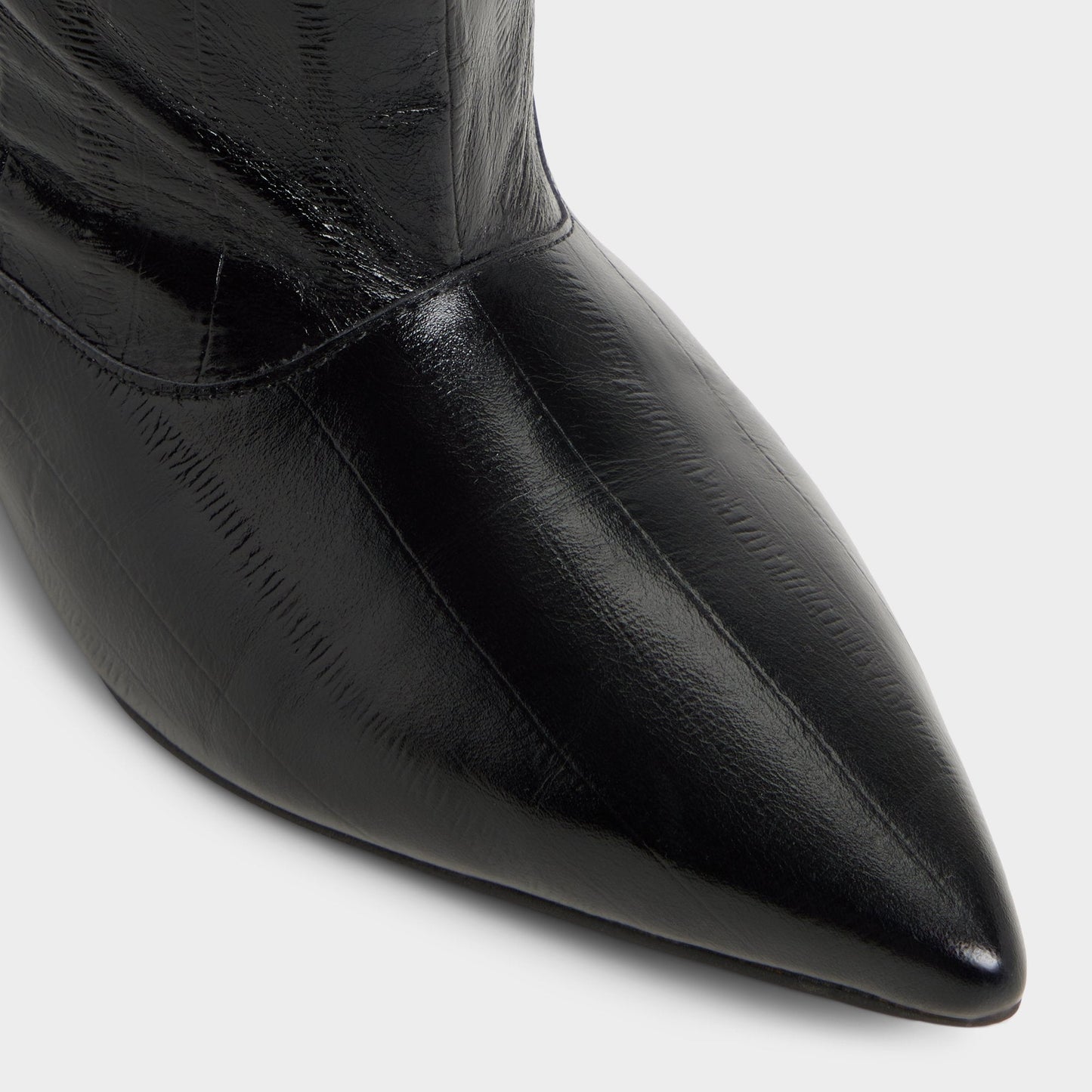 Everose in Black - Knee-high boot, Kitten heel Aldo Black