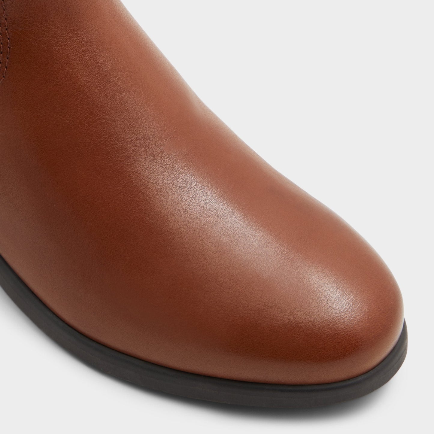 Wicoenitall Cognac Women's Tall Boots - Knee-high boot, Brown Aldo Cognac