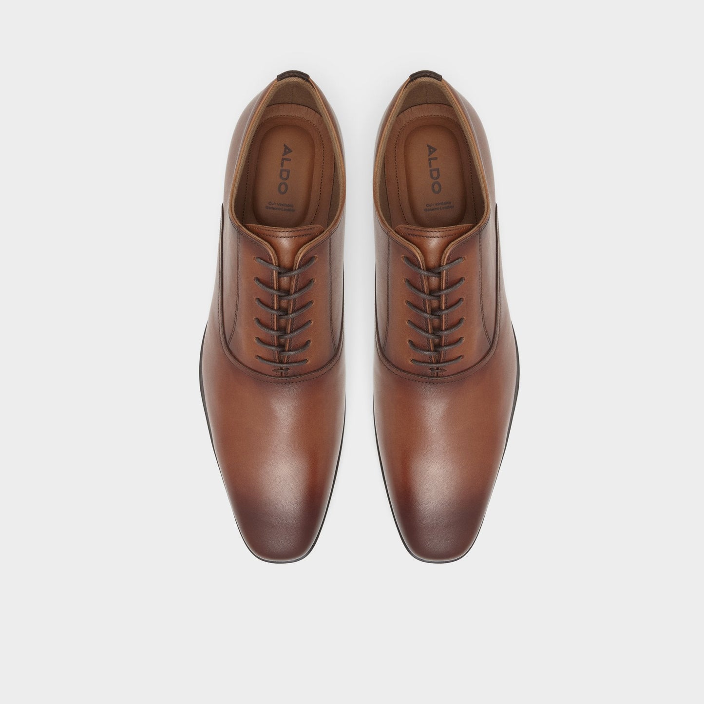Nathon in Cognac - Oxford shoe Aldo Cognac