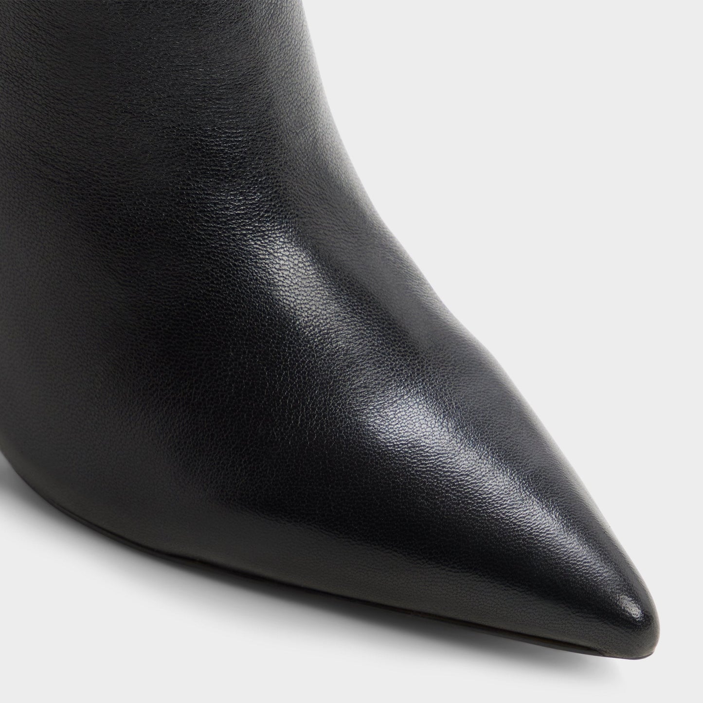 Holiis in Other Black - Knee-high boot, Stiletto heel Aldo Other black