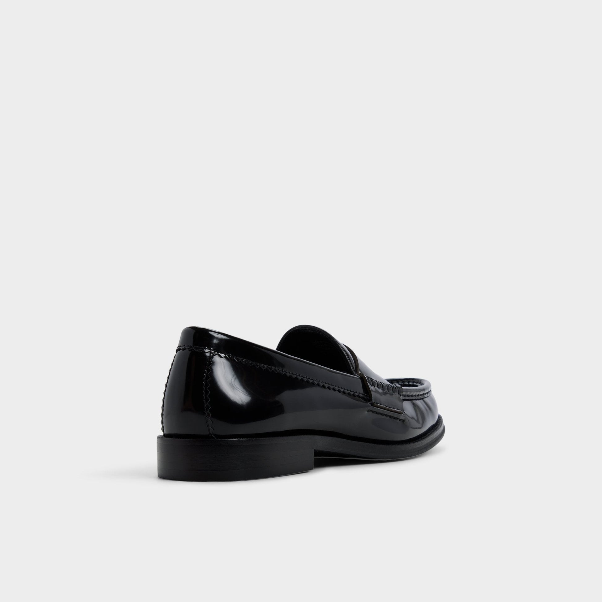 Ludovik in Black - Loafer Aldo Black