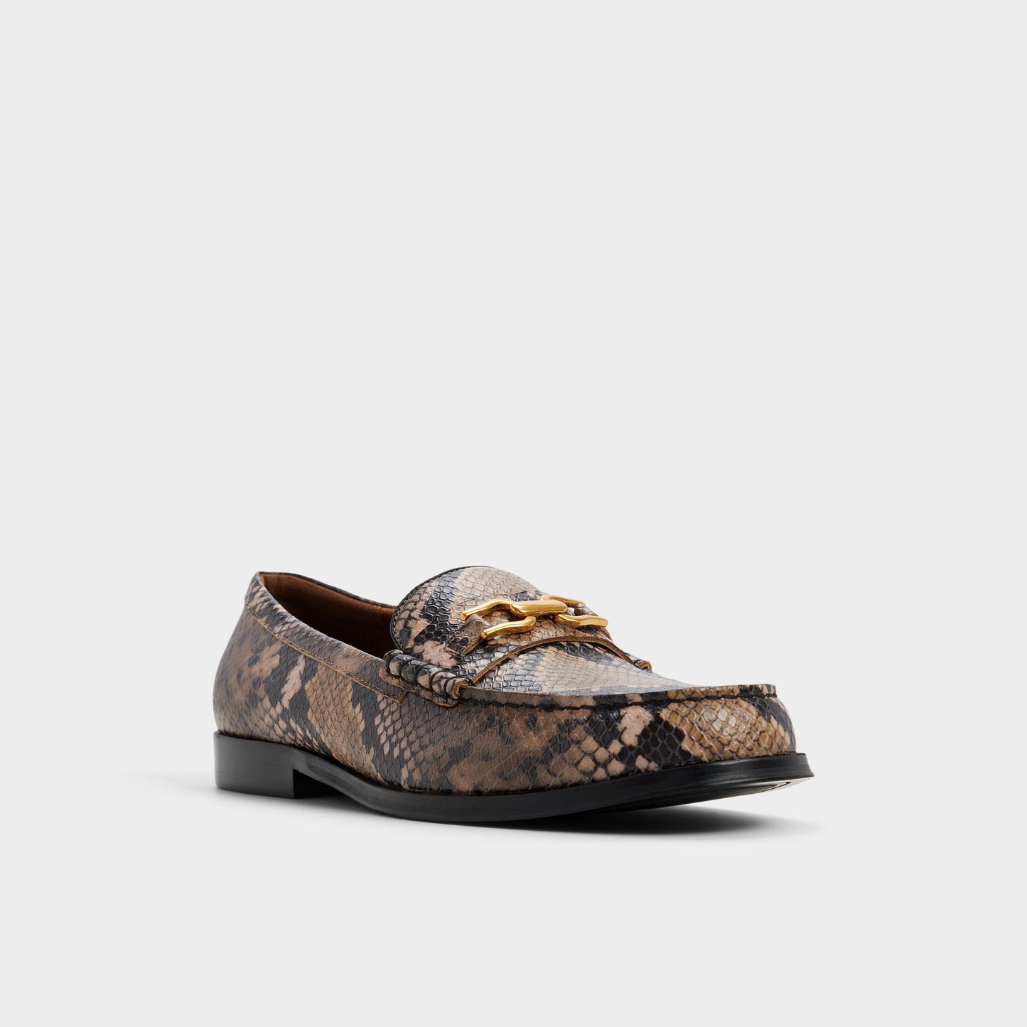 Edouard in Brown Multi - Loafer Aldo Brown multi