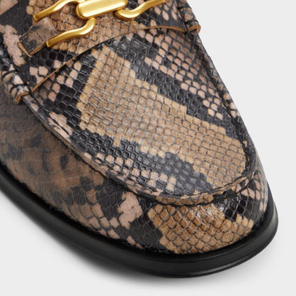 Edouard in Brown Multi - Loafer Aldo Brown multi