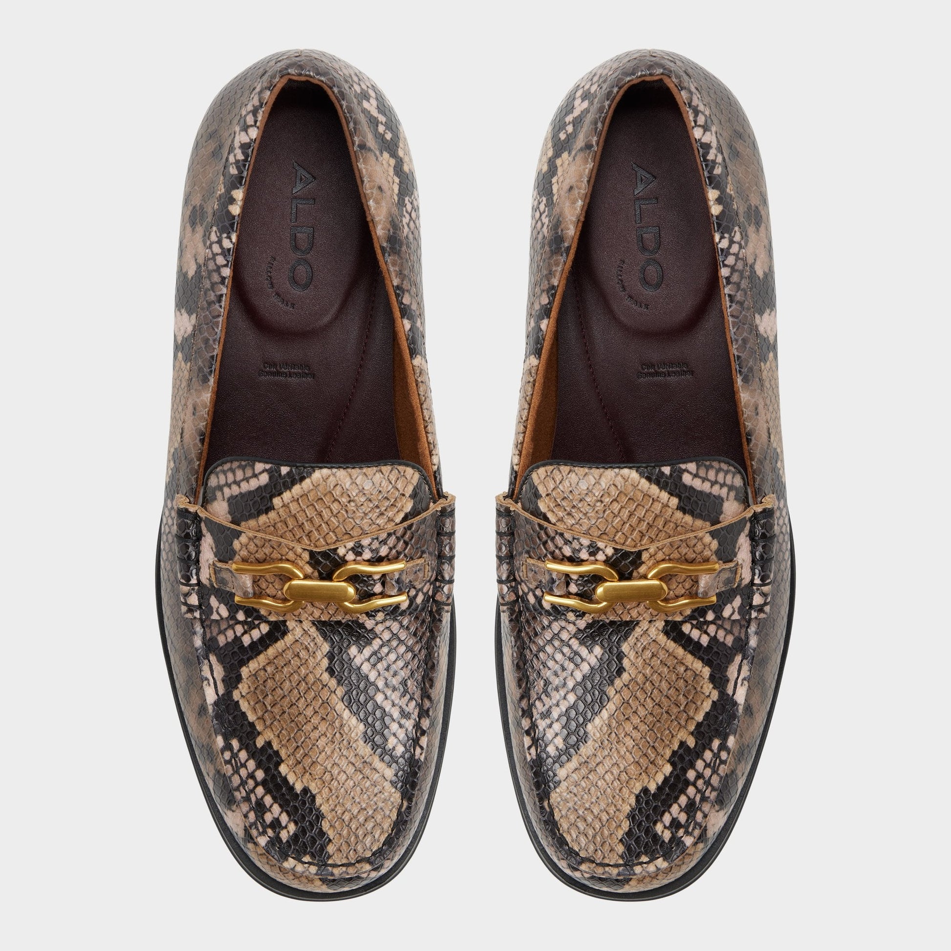 Edouard in Brown Multi - Loafer Aldo Brown multi