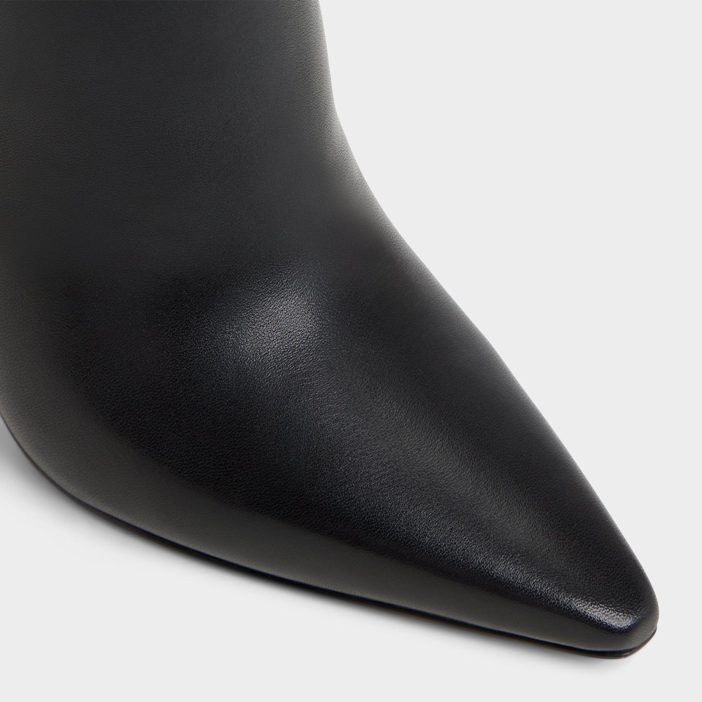 Guavaberry in Black - Ankle boot, Stiletto heel Aldo Black
