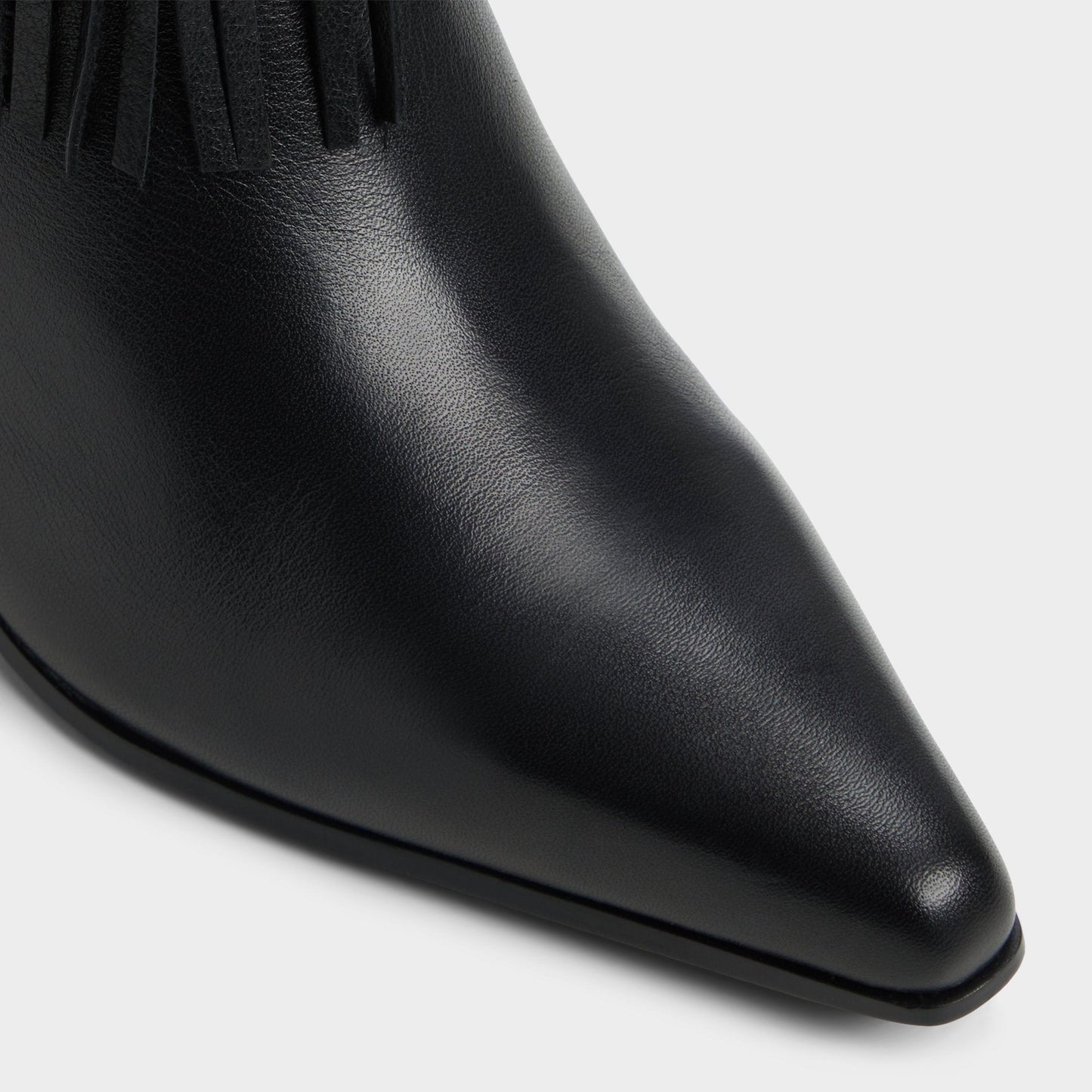 Jollene Black Women's Ankle boots - Ankle boot, Block heel Aldo Black