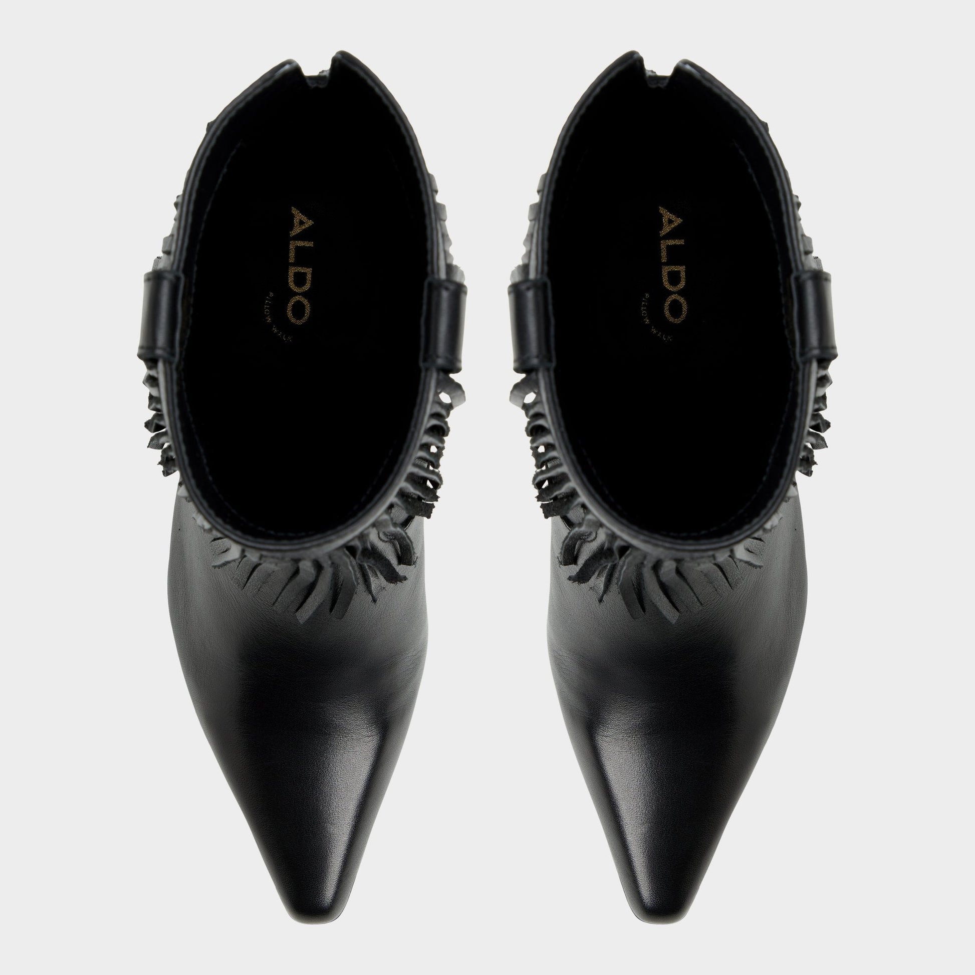 Jollene Black Women's Ankle boots - Ankle boot, Block heel Aldo Black