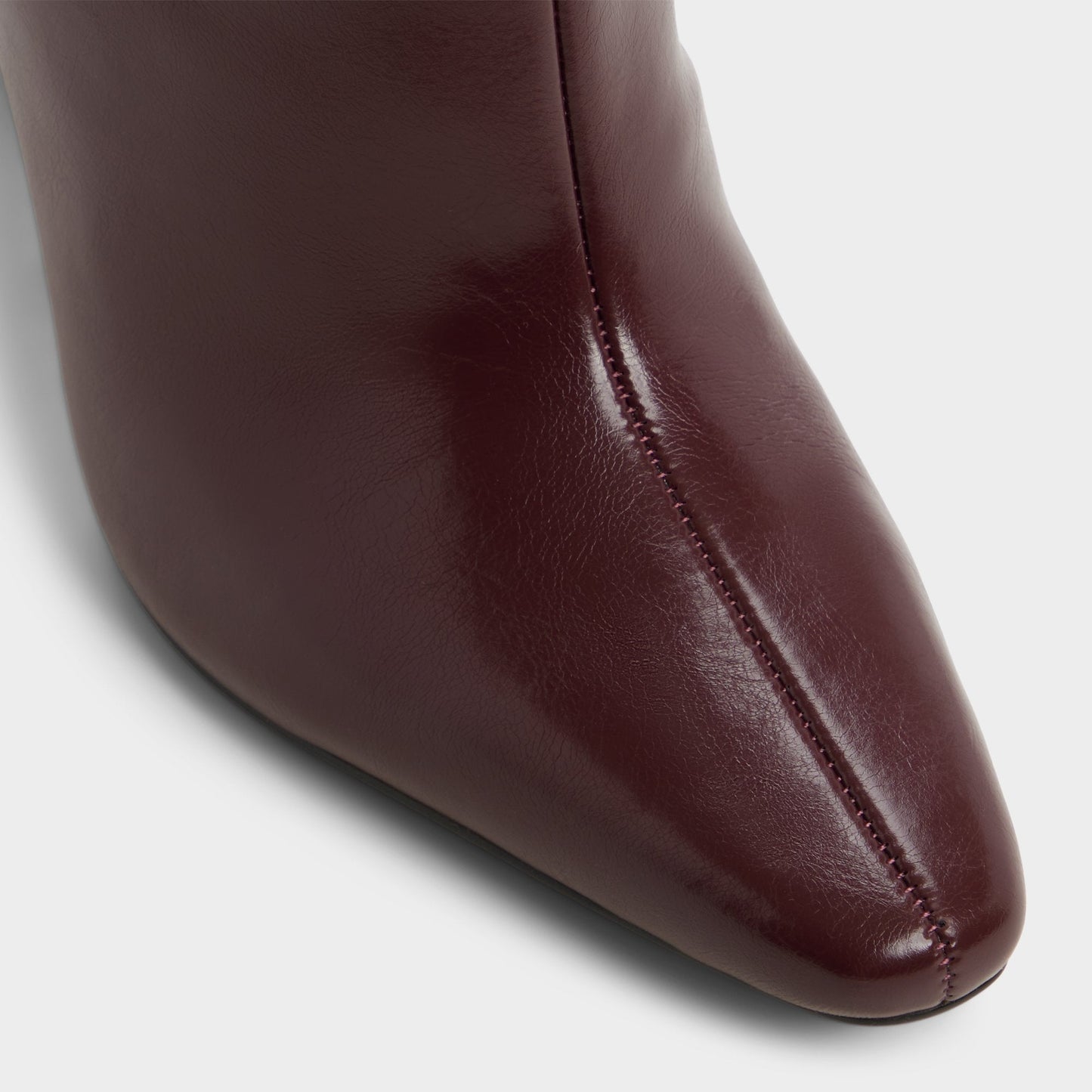 Elyne in Burgundy - Knee-high boot Aldo Burgundy