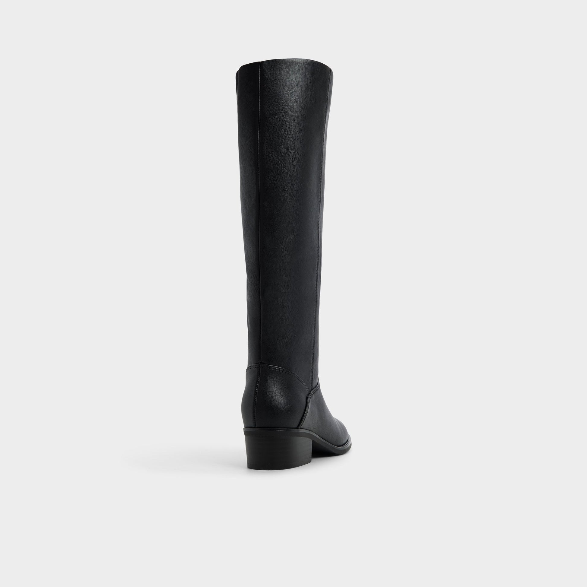 Kaydienh in Black - Knee-high boot, Block heel Aldo Black