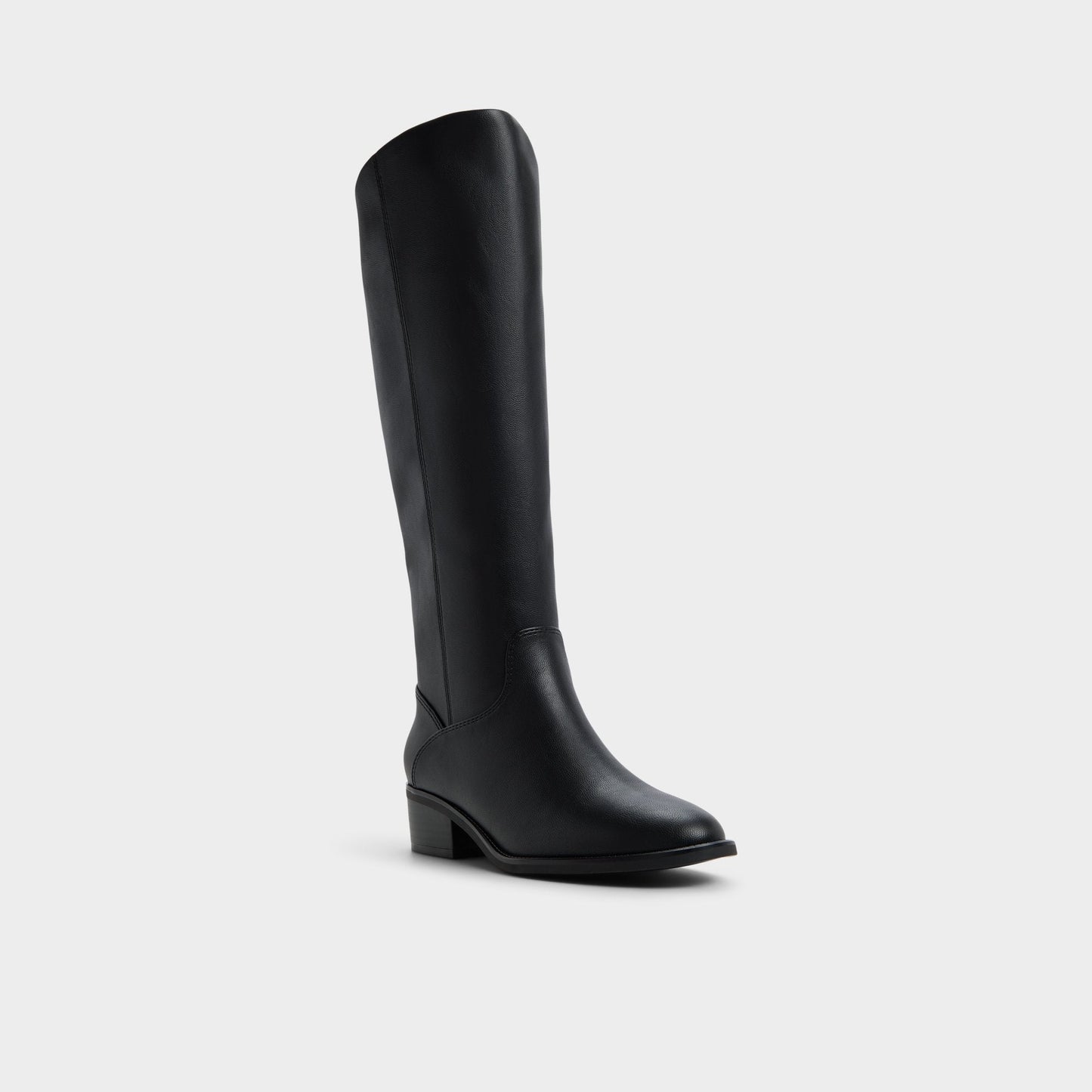 Kaydienh in Black - Knee-high boot, Block heel Aldo Black