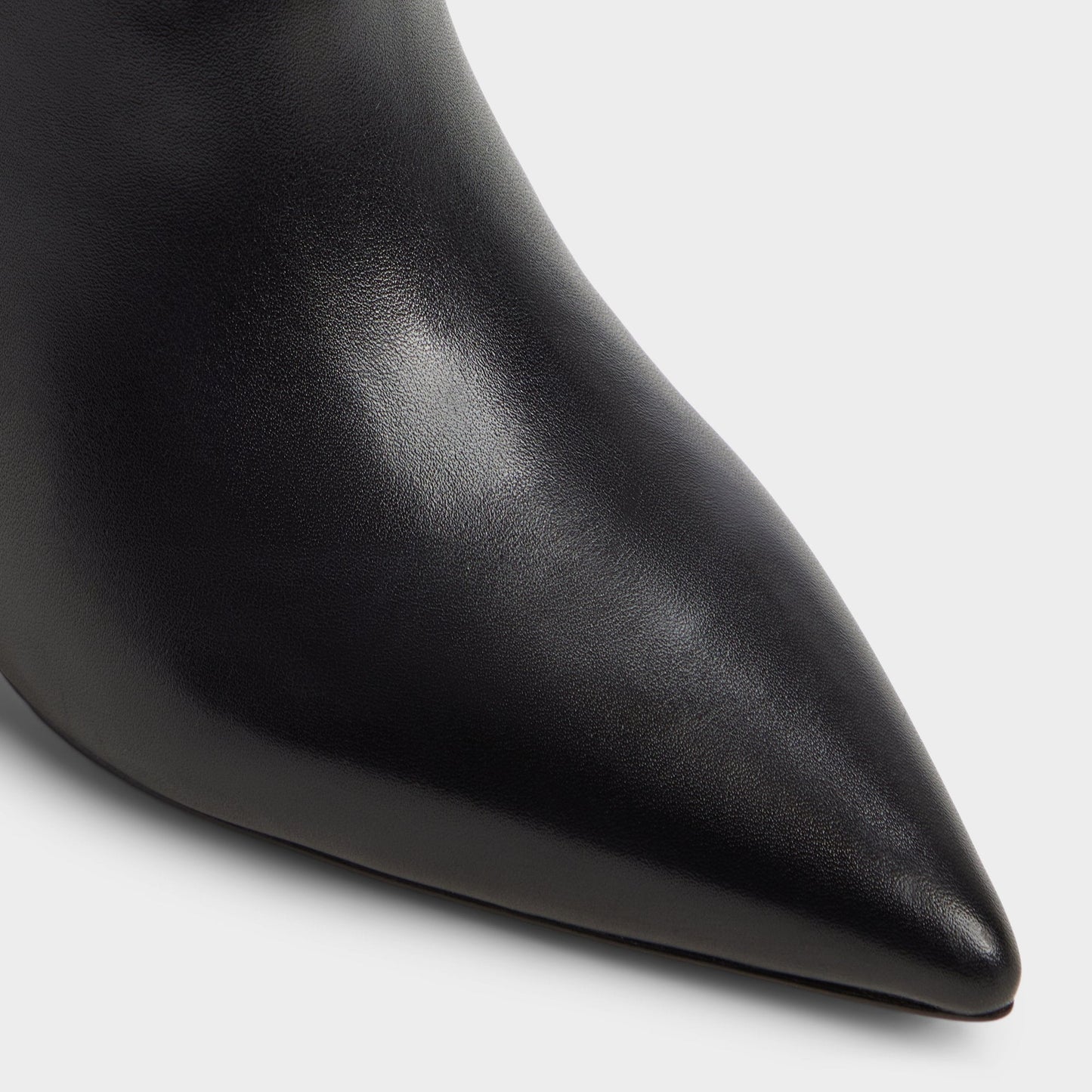 Saphiria in Black - Knee-high boot, Stiletto heel Aldo Black