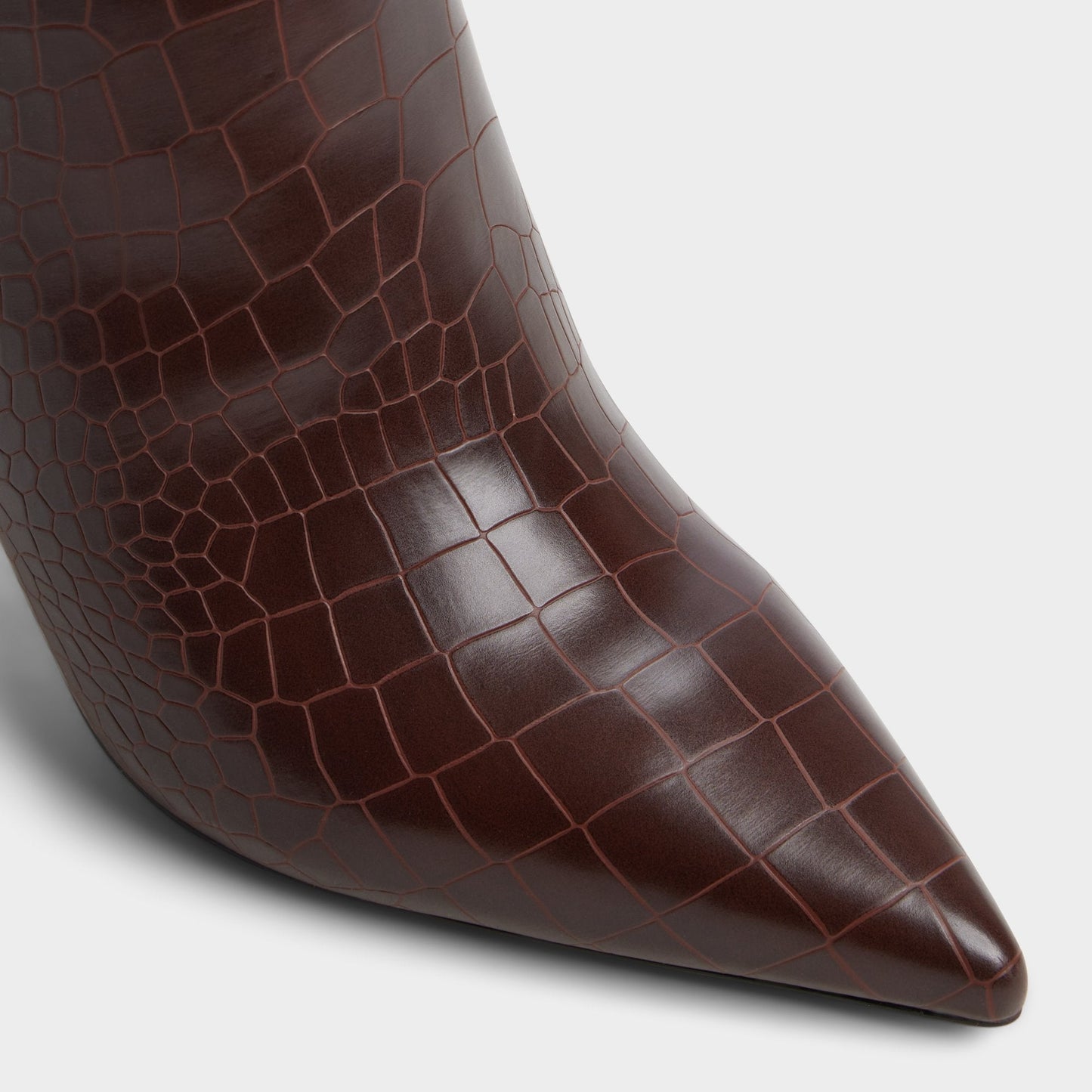 Saphiria Dark Brown Women's Tall Boots - Knee-high boot, Stiletto heel Aldo Dark brown