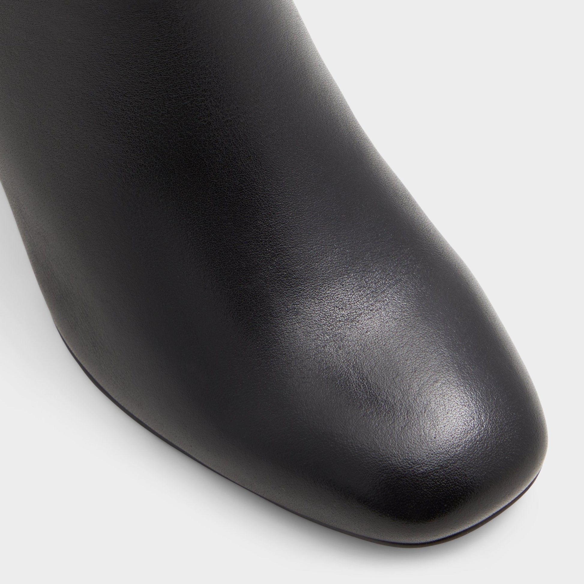 Satori-wc Black/Black Women's Tall Boots - Knee-high boot, Block heel Aldo Black/black