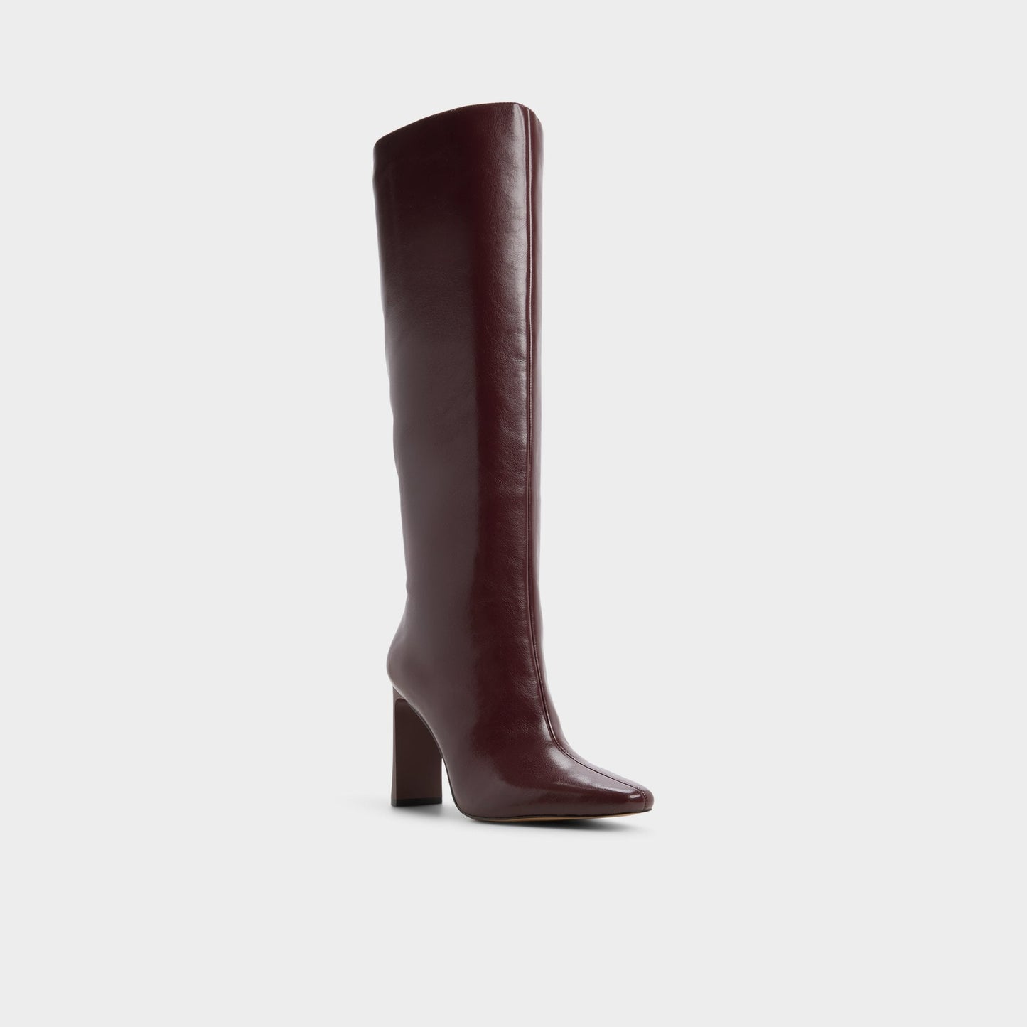 Elyne in Wc Burgundy - Knee-high boot Aldo Burgundy
