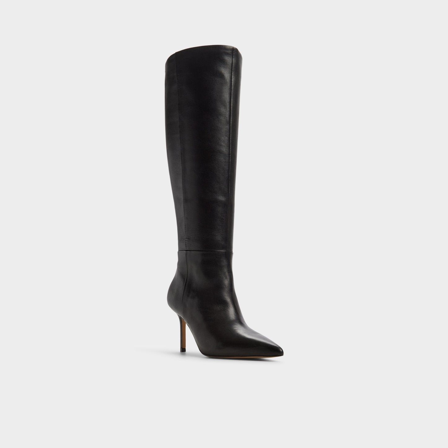 Saphiria in Wc Black - Knee-high boot, Stiletto heel Aldo Black