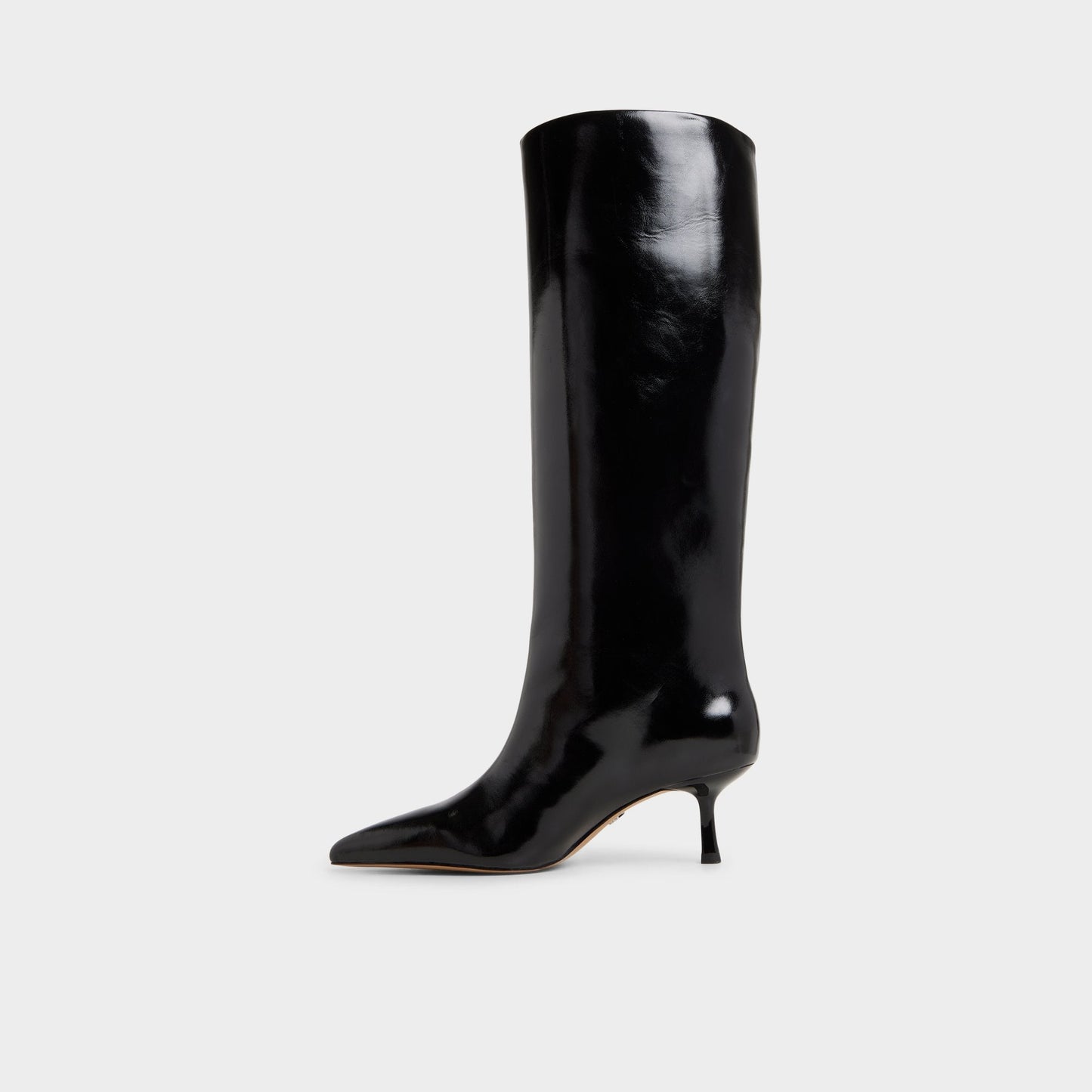 Selora Black Women's Tall Boots - Knee-high boot, Stiletto heel Aldo Black