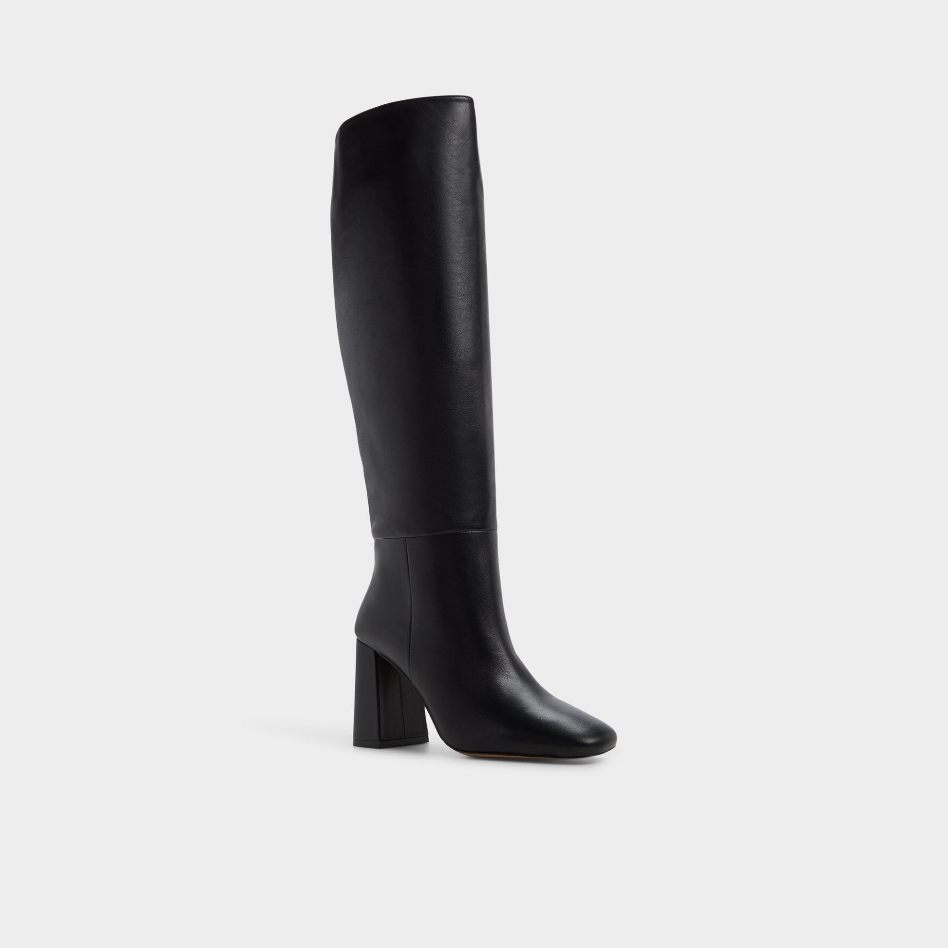 Helana in Black - Knee-high boot, Block heel Aldo Black