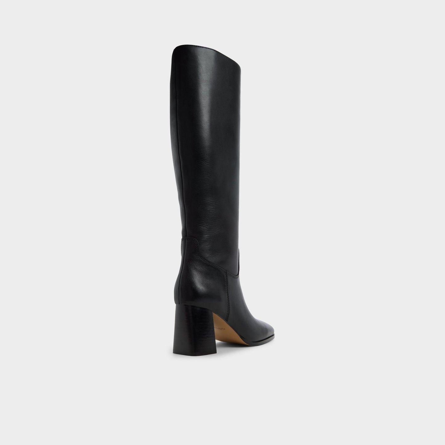 Elyze in Black - Knee-high boot, Block heel Aldo Black