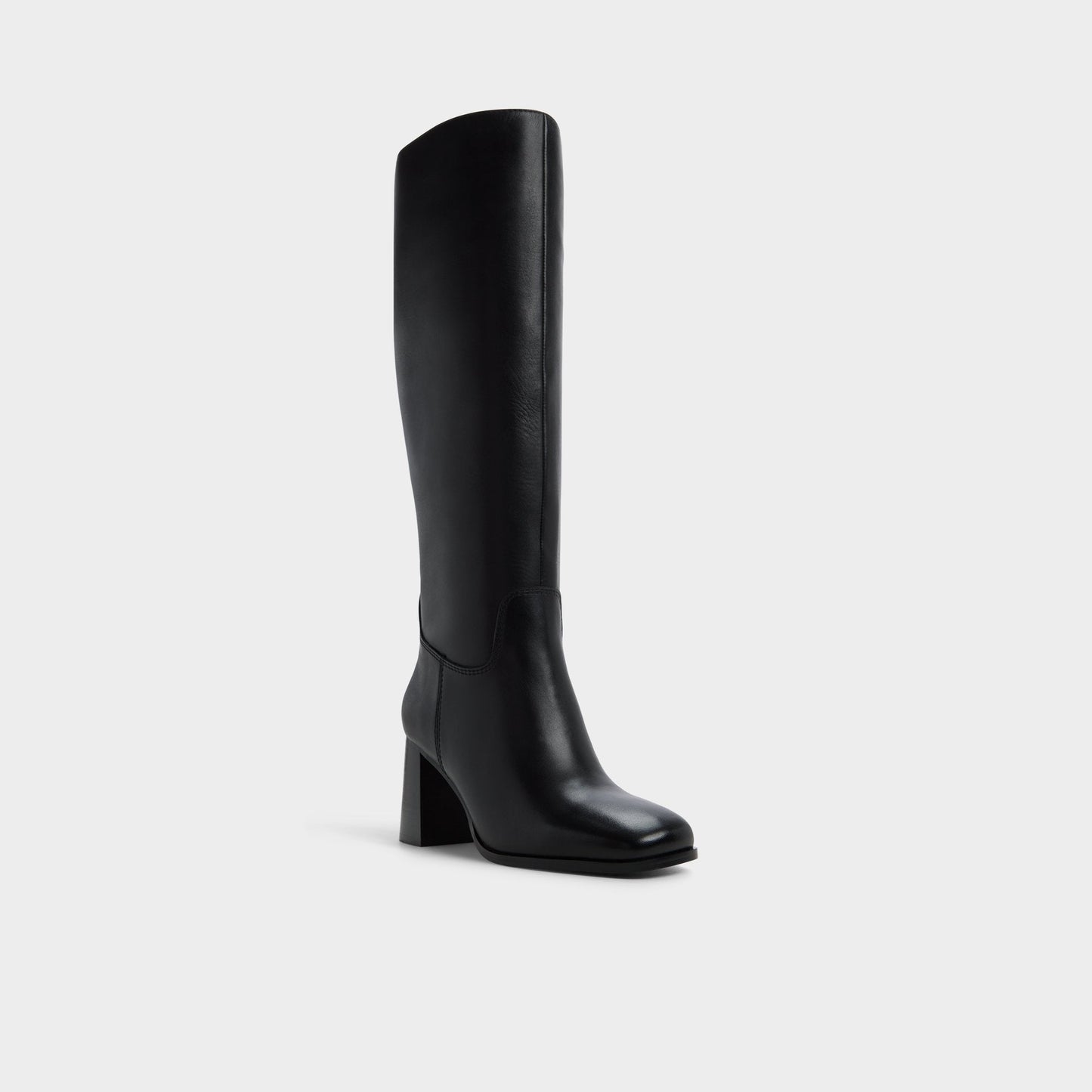Elyze in Black - Knee-high boot, Block heel Aldo Black