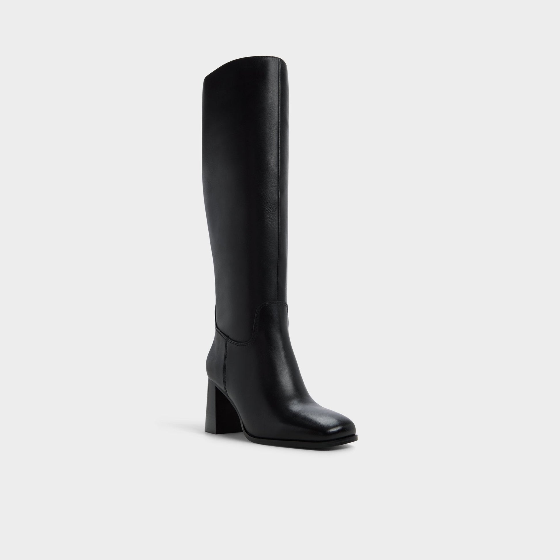 Elyze in Black - Knee-high boot, Block heel Aldo Black