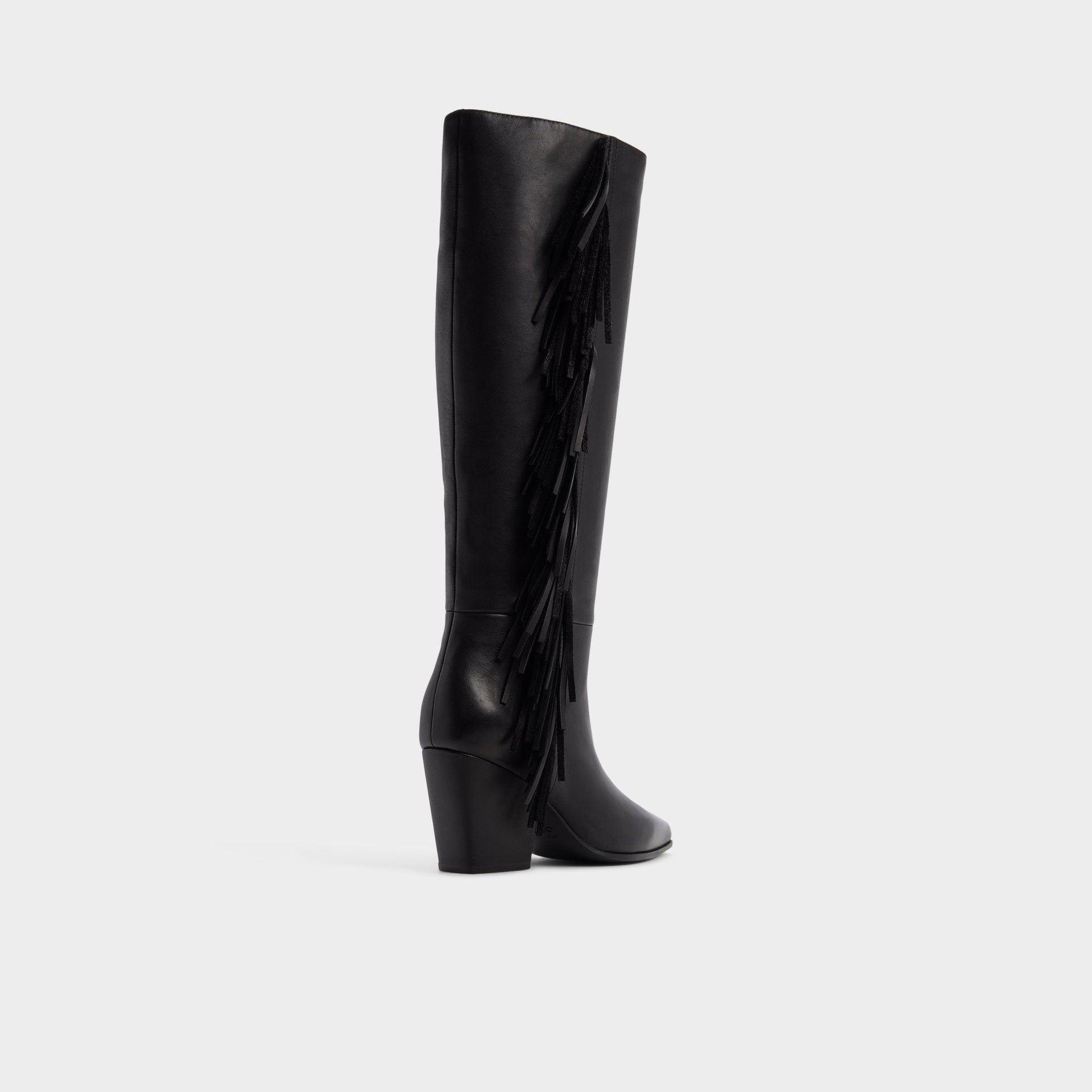 Kaelya in Black - Knee-high boot, Block heel Aldo Black