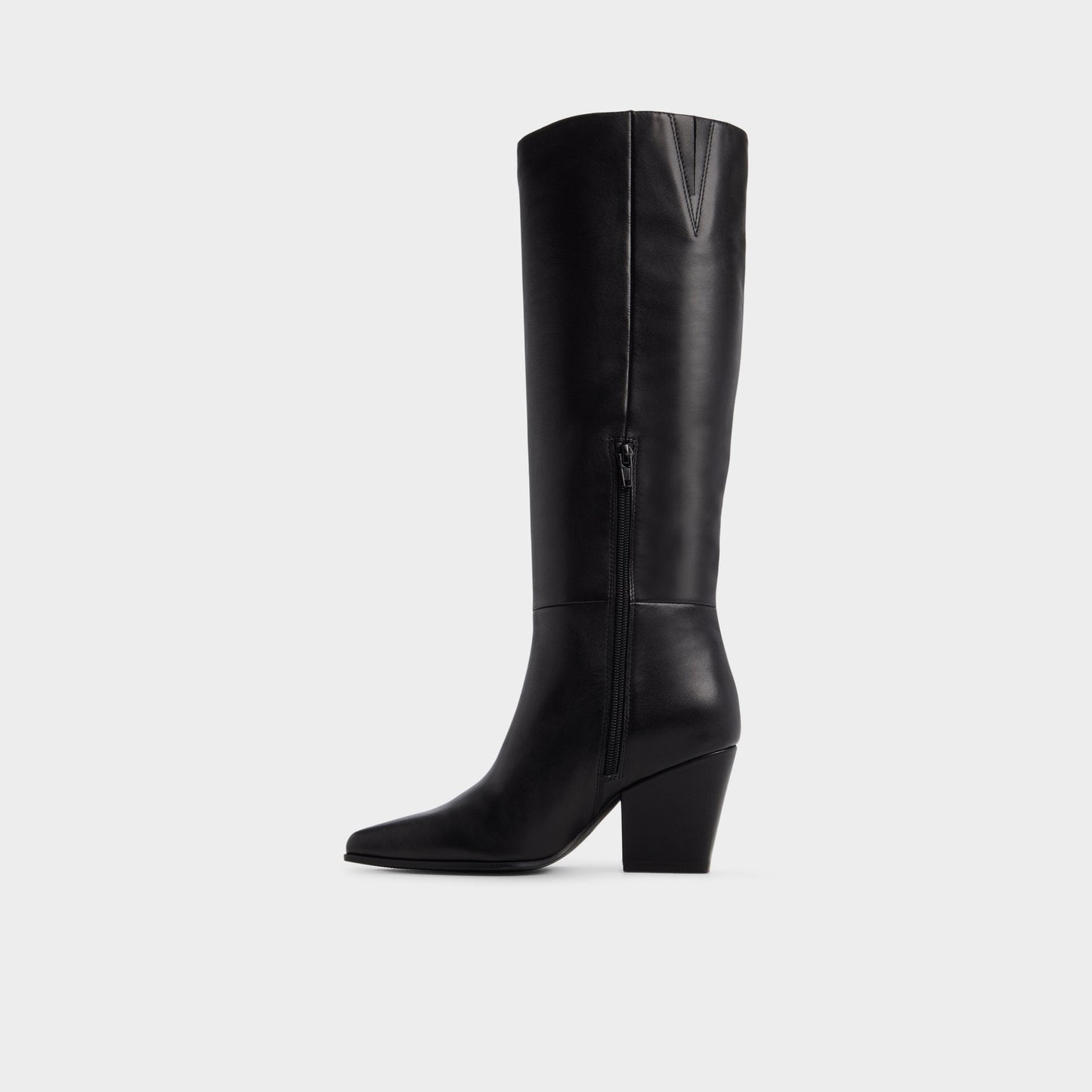 Kaelya in Black - Knee-high boot, Block heel Aldo Black