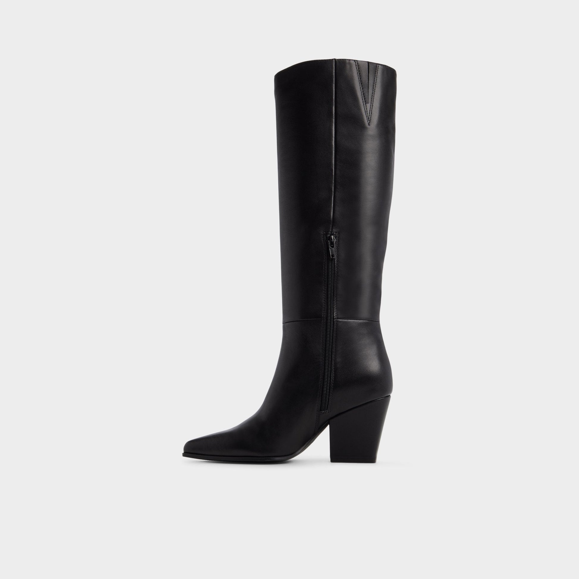 Kaelya in Black - Knee-high boot, Block heel Aldo Black