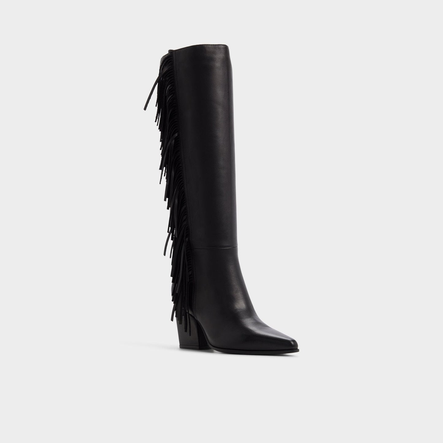 Kaelya in Black - Knee-high boot, Block heel Aldo Black