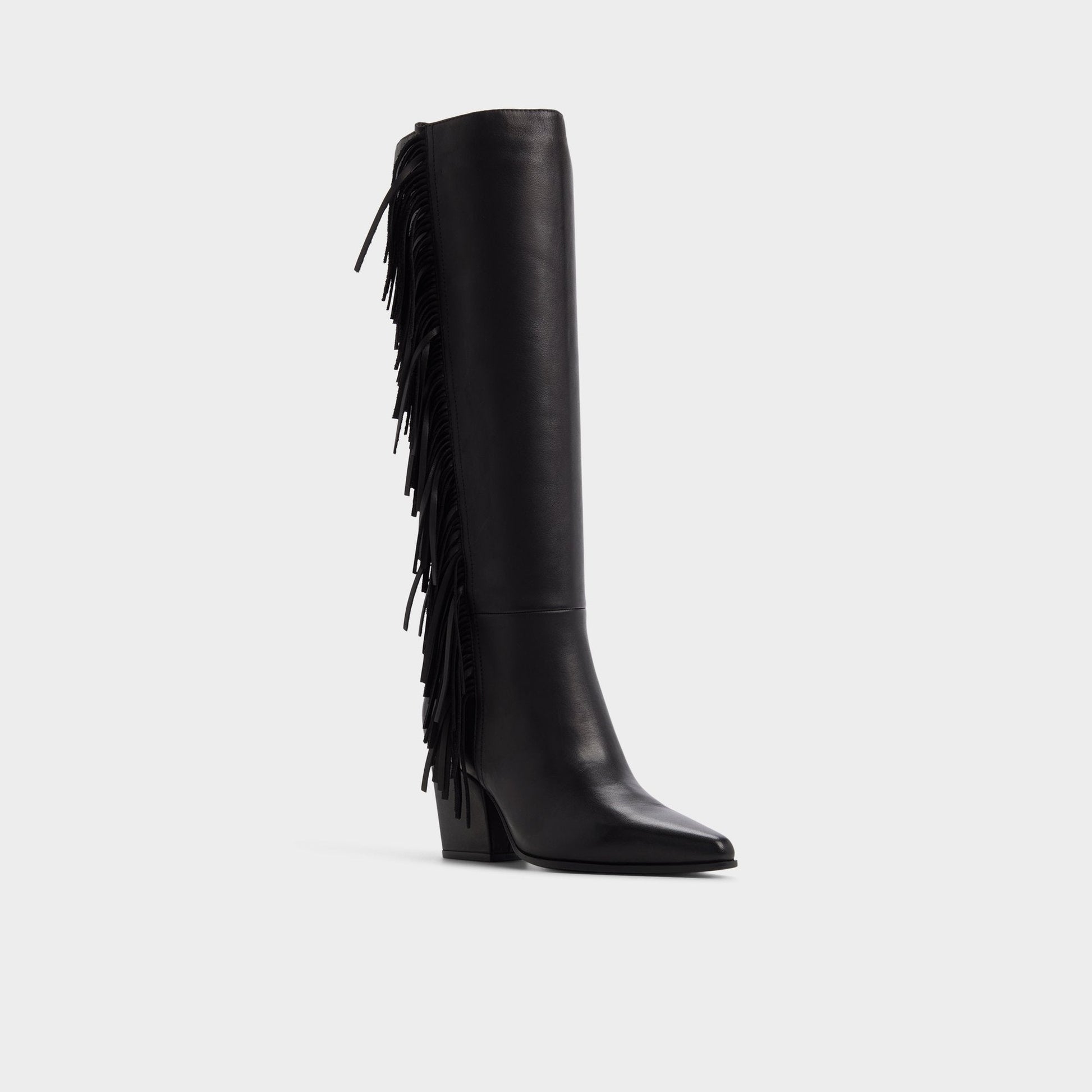 Kaelya in Black - Knee-high boot, Block heel Aldo Black