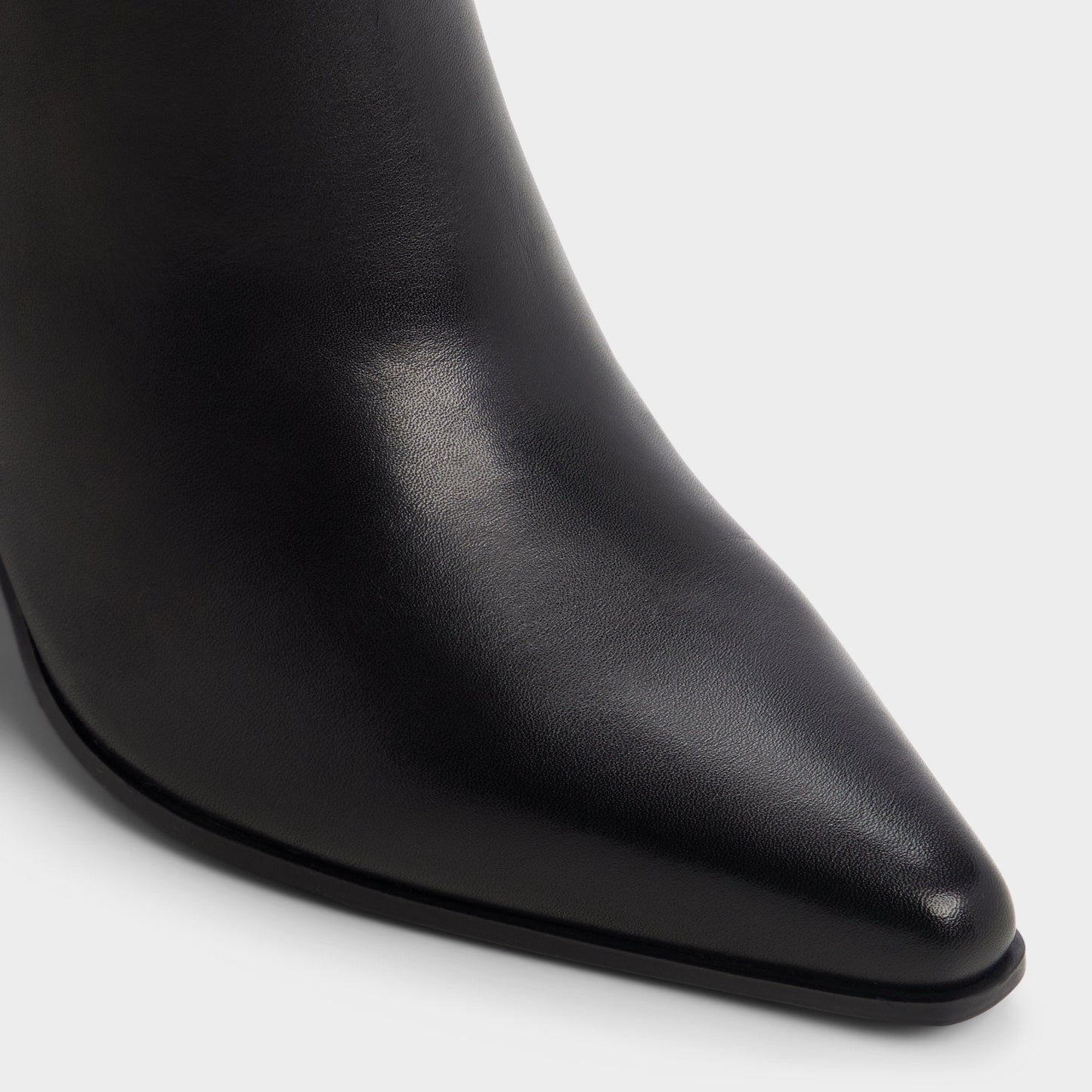 Kaelya in Black - Knee-high boot, Block heel Aldo Black
