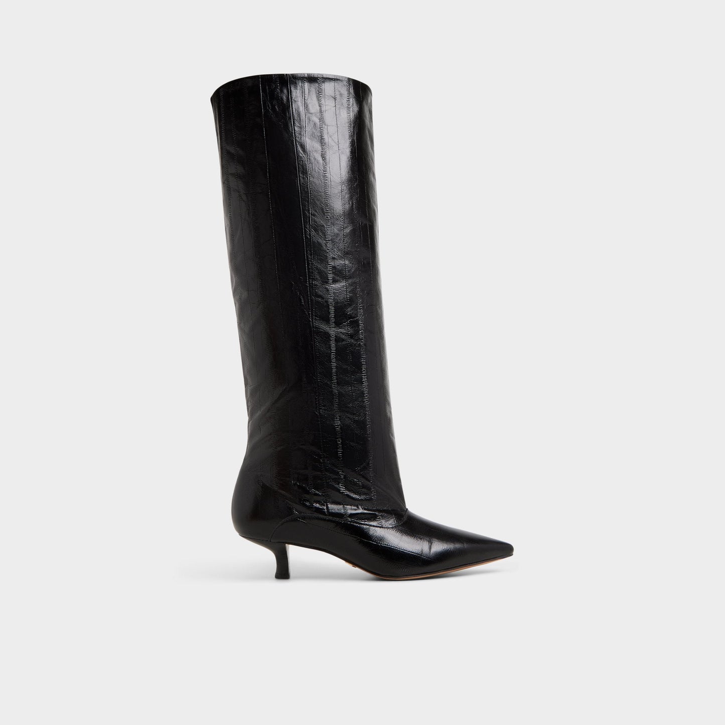Everose in Black - Knee-high boot, Kitten heel Aldo Black