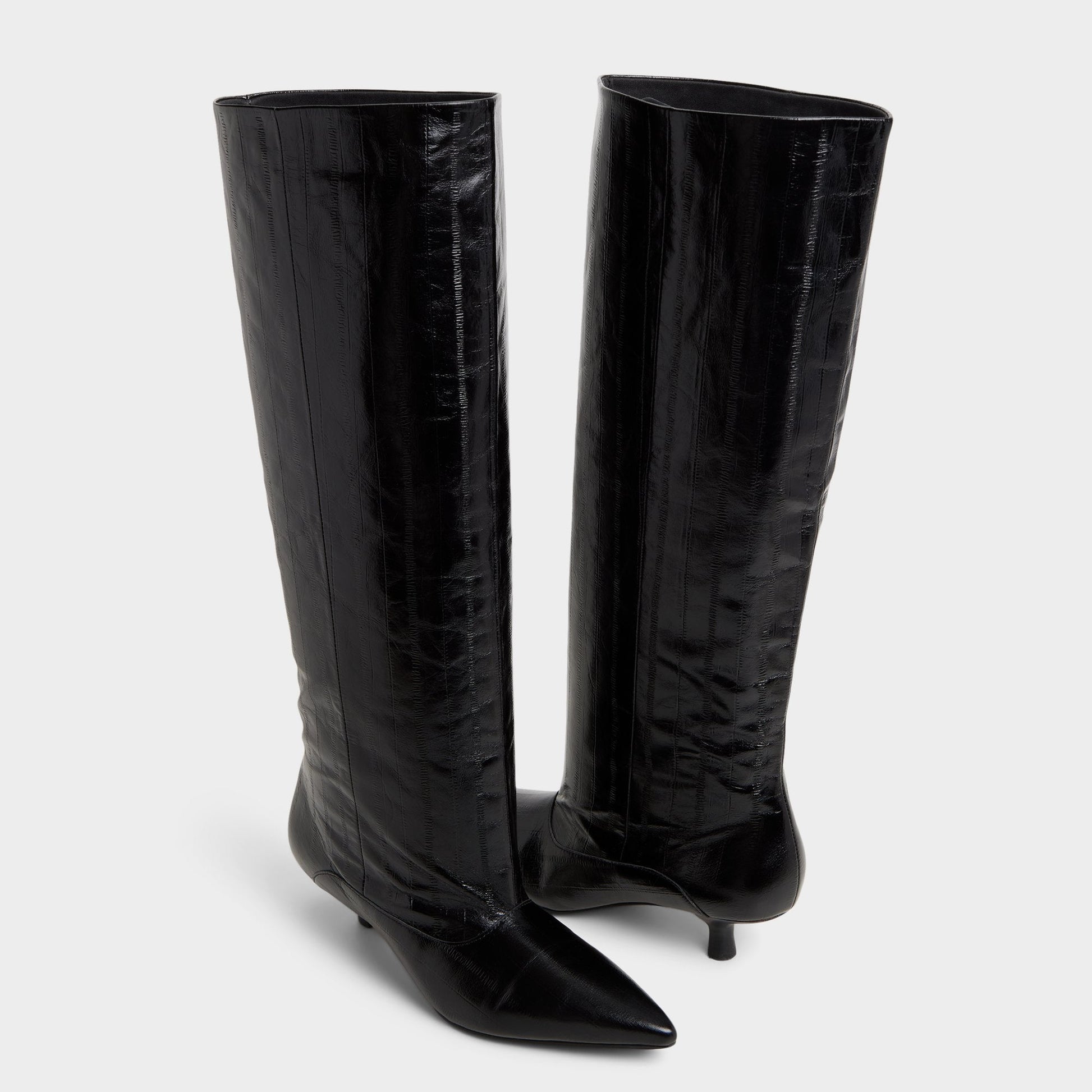 Everose in Black - Knee-high boot, Kitten heel Aldo Black
