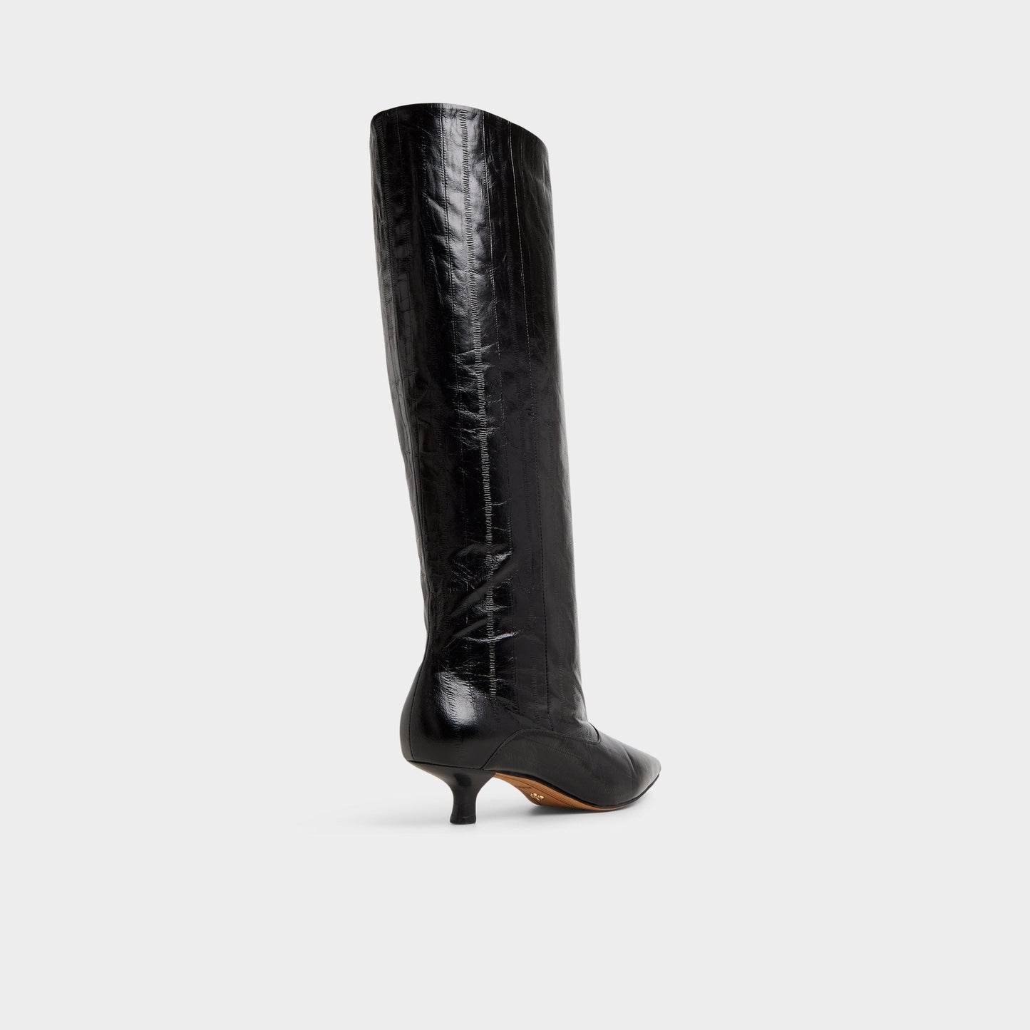 Everose in Black - Knee-high boot, Kitten heel Aldo Black