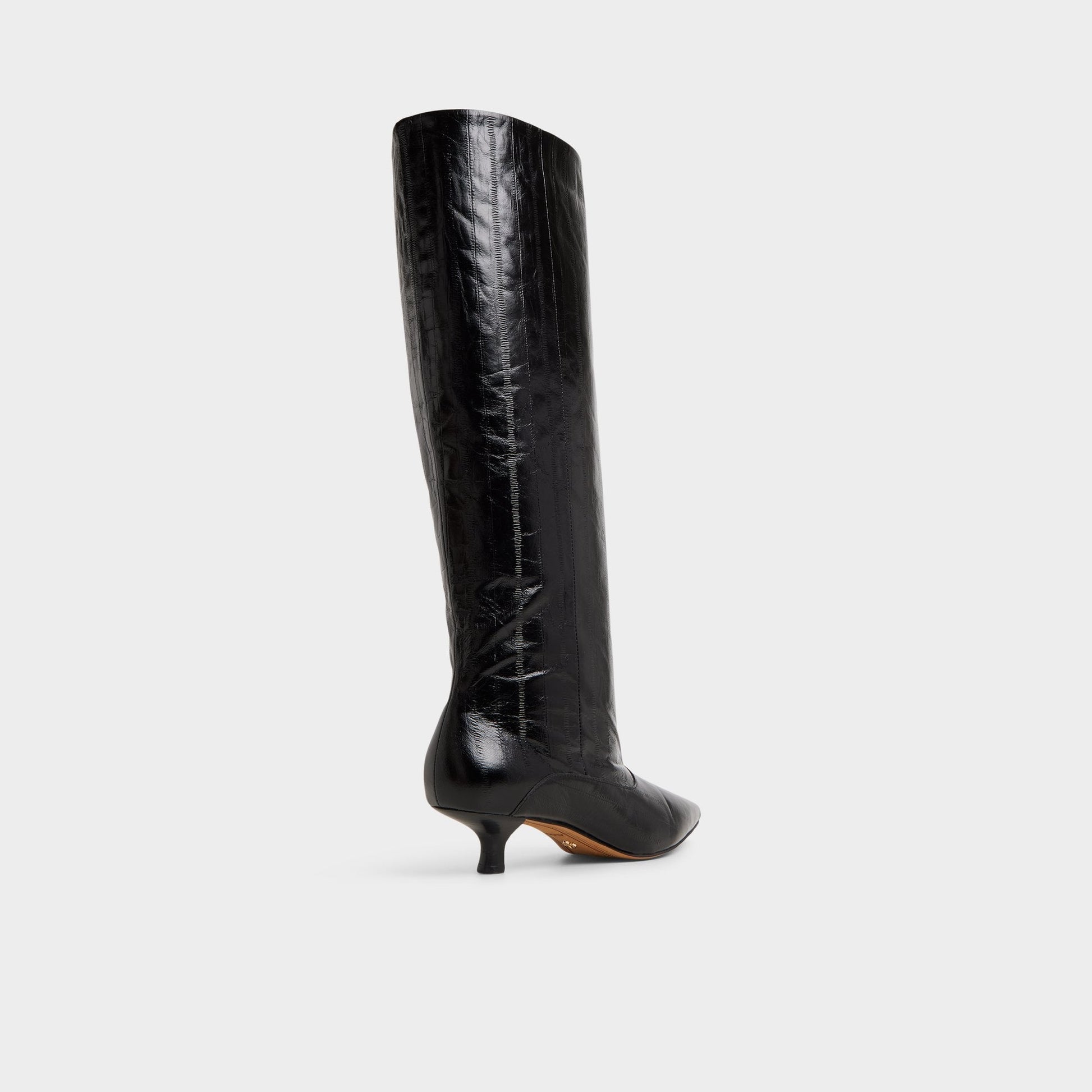 Everose in Black - Knee-high boot, Kitten heel Aldo Black
