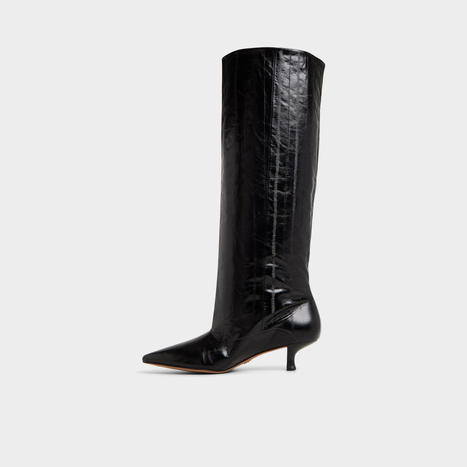 Everose in Black - Knee-high boot, Kitten heel Aldo Black