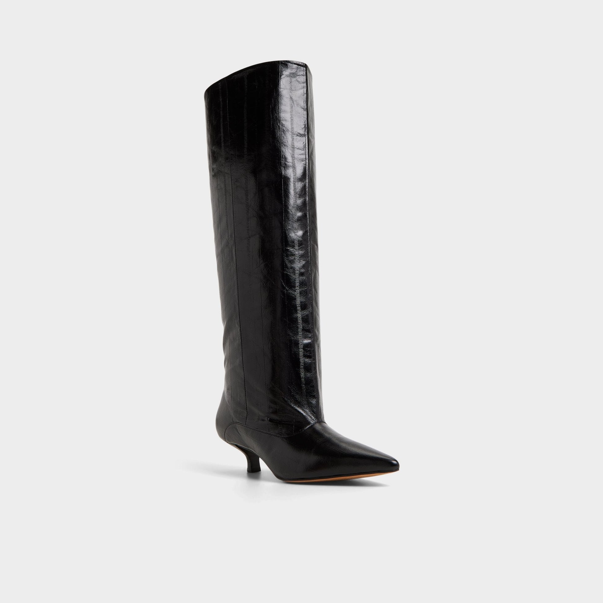 Everose in Black - Knee-high boot, Kitten heel Aldo Black