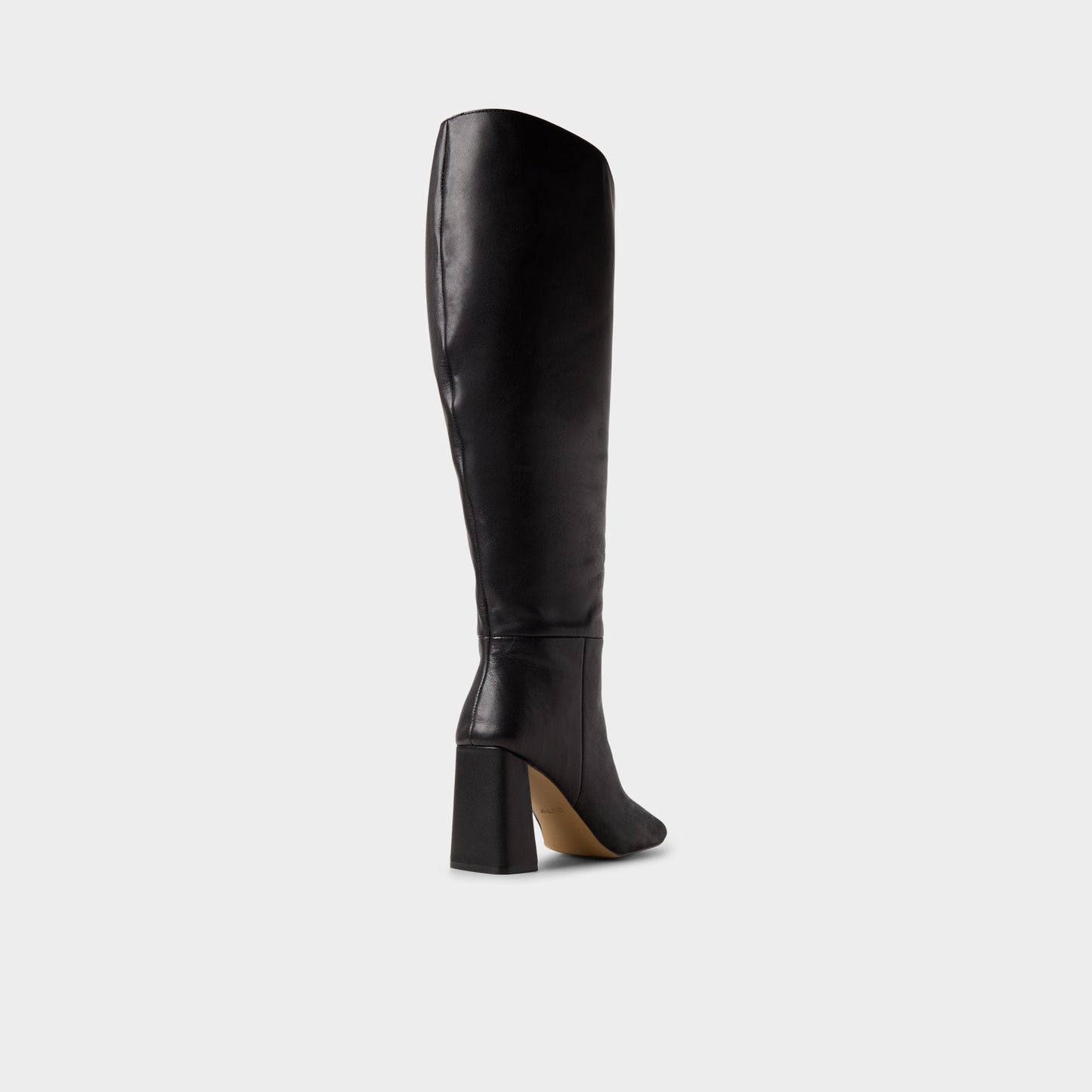 Helana in Wc Black - Knee-high boot, Block heel Aldo Black