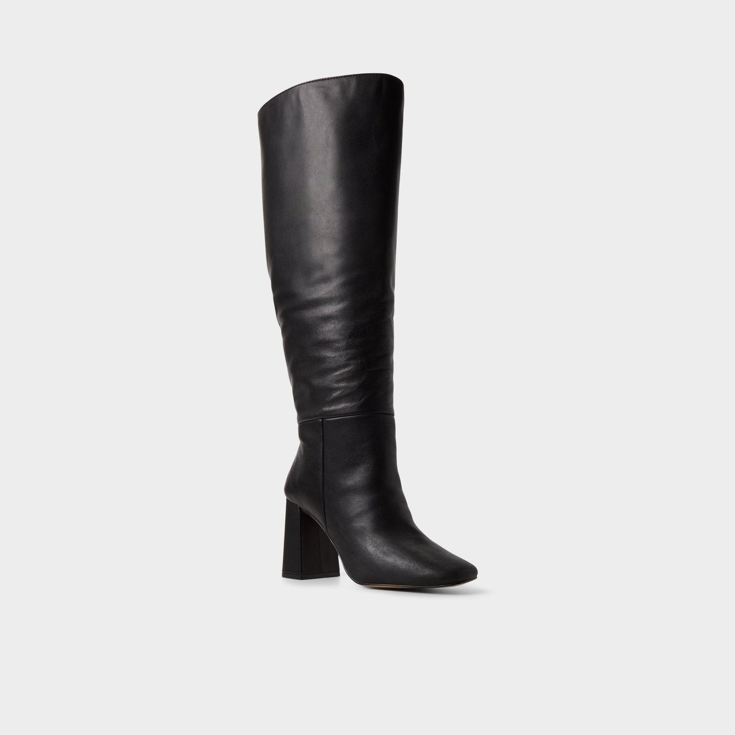 Helana in Wc Black - Knee-high boot, Block heel Aldo Black