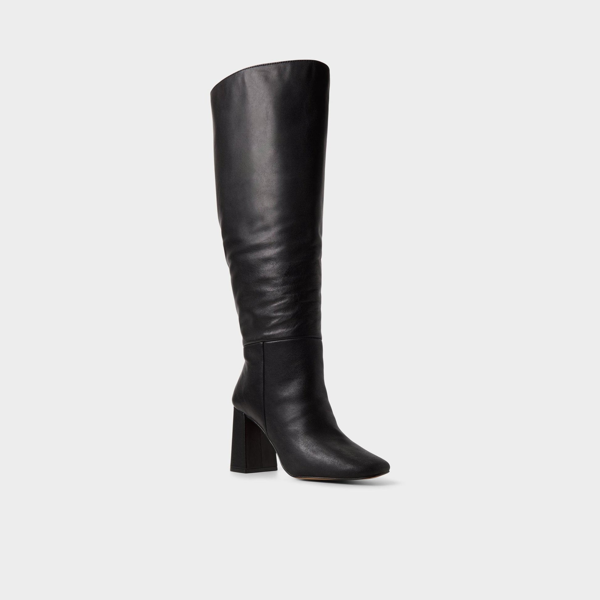 Helana in Wc Black - Knee-high boot, Block heel Aldo Black