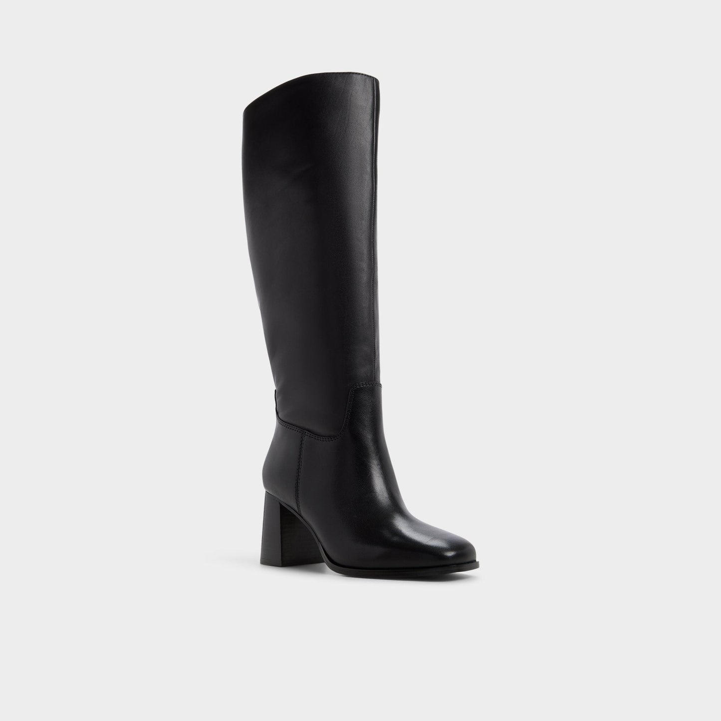 Elyze in Wc Black - Knee-high boot, Block heel Aldo Black