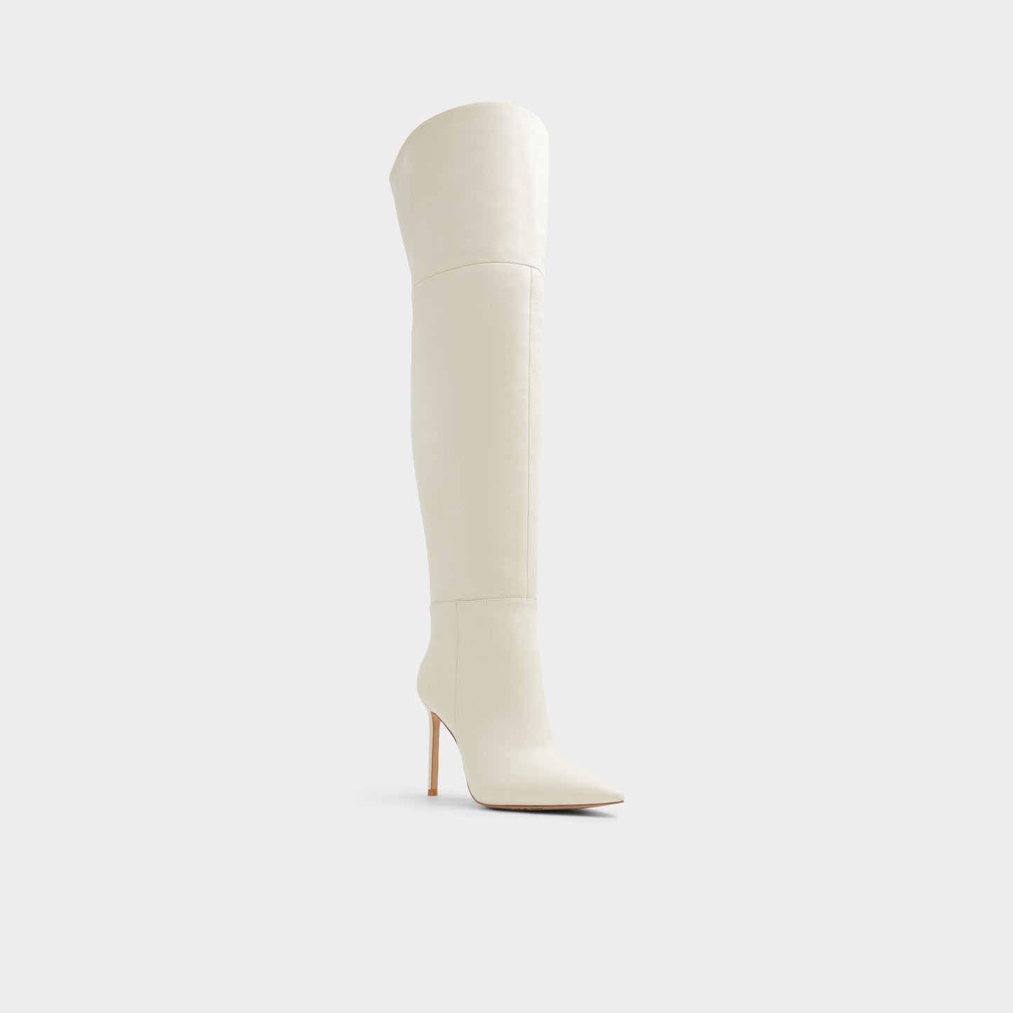 Galalede Beige Women's Tall Boots - Over-the-knee boot Aldo Beige