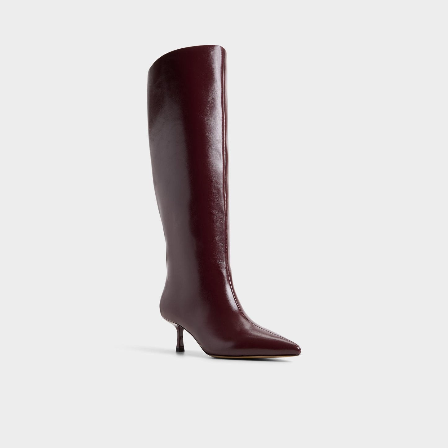 Selora in Wc Burgundy - Knee-high boot, Stiletto heel Aldo Burgundy