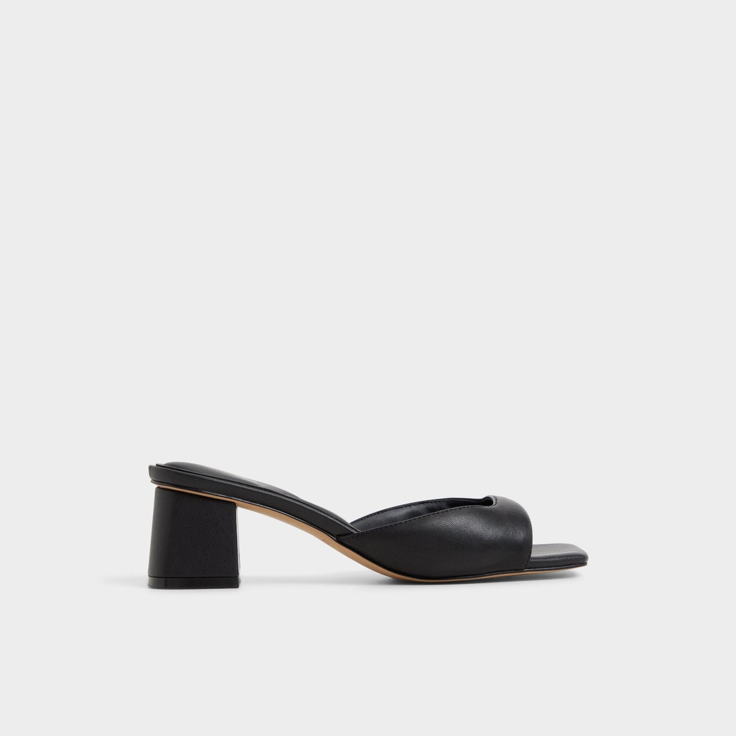 Aneky in Black - Heeled mule, Block heel Aldo Black