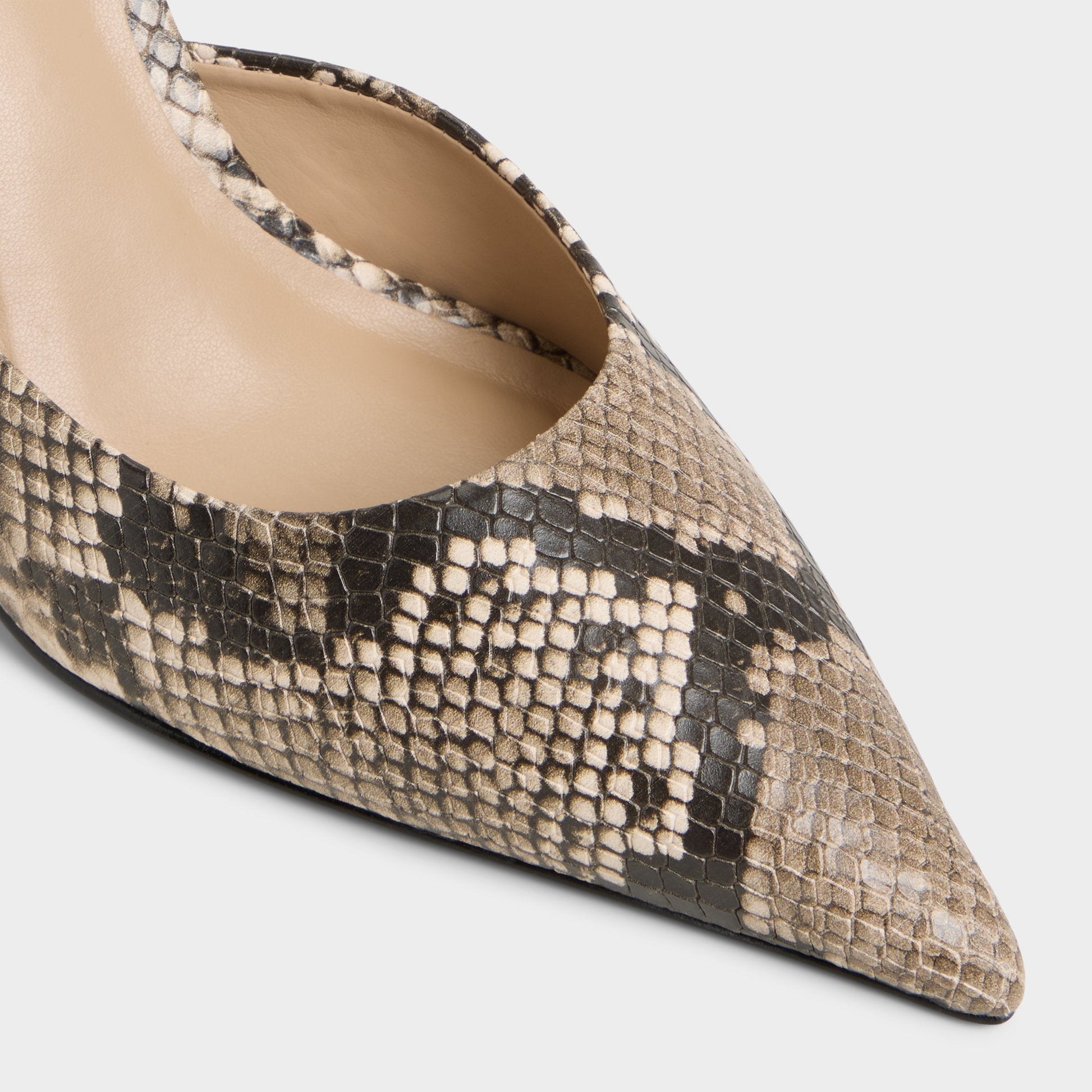 Beatrixy Python Women's Heeled mules - Heeled mule, Stiletto heel Aldo Python