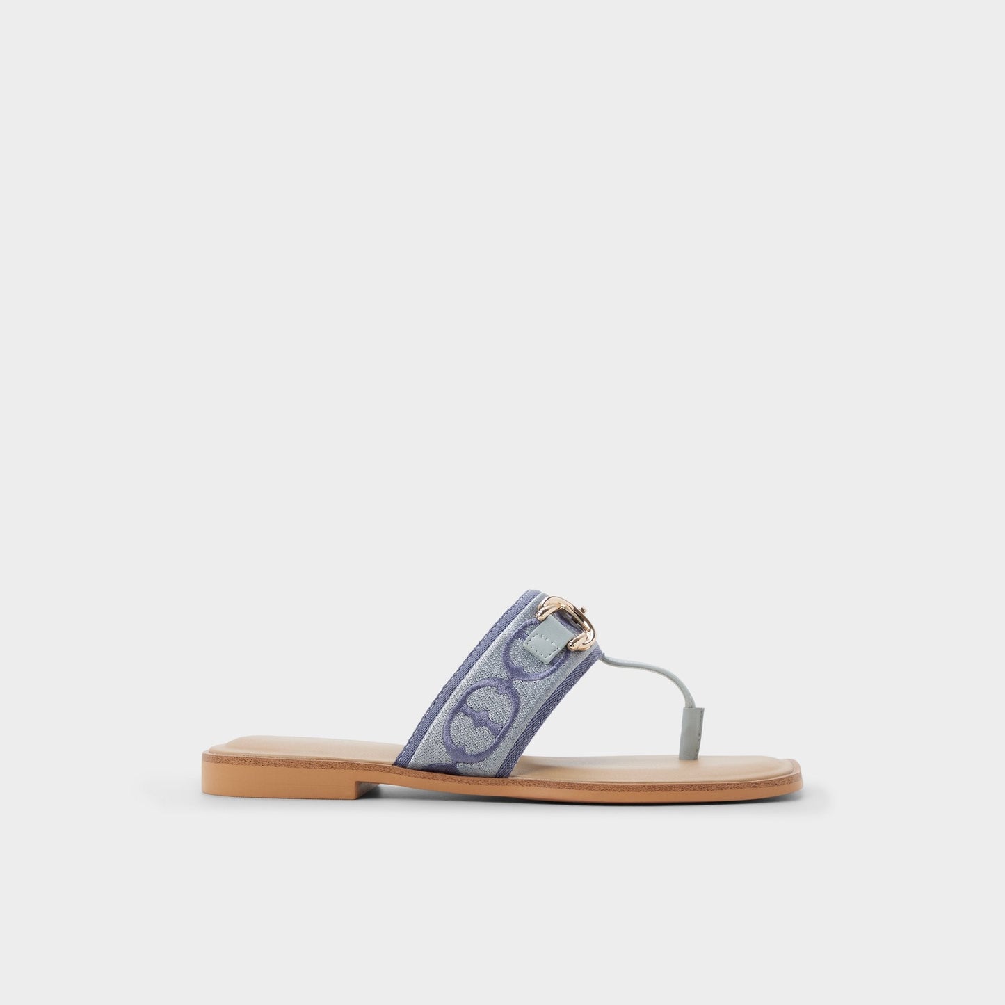 Coralynna in Other Blue - T-strap sandal Aldo Other Blue