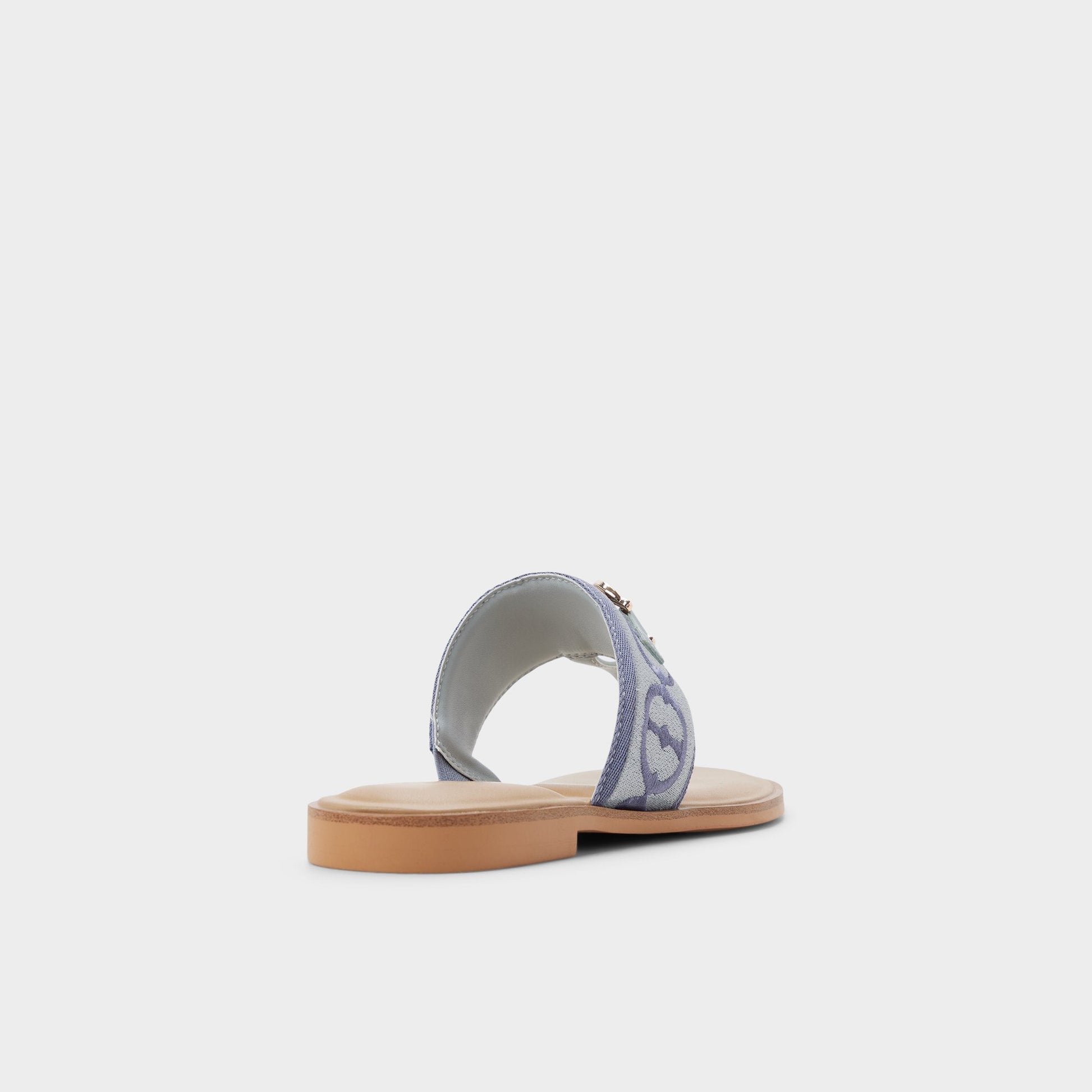 Coralynna in Other Blue - T-strap sandal Aldo Other Blue