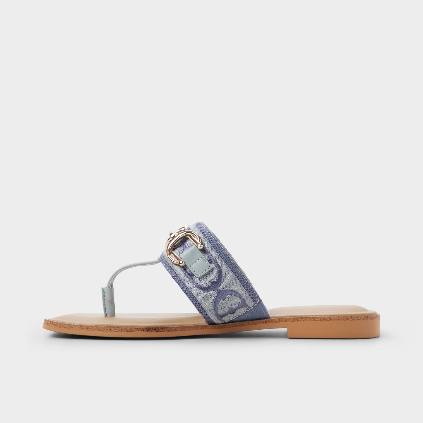 Coralynna in Other Blue - T-strap sandal Aldo Other Blue