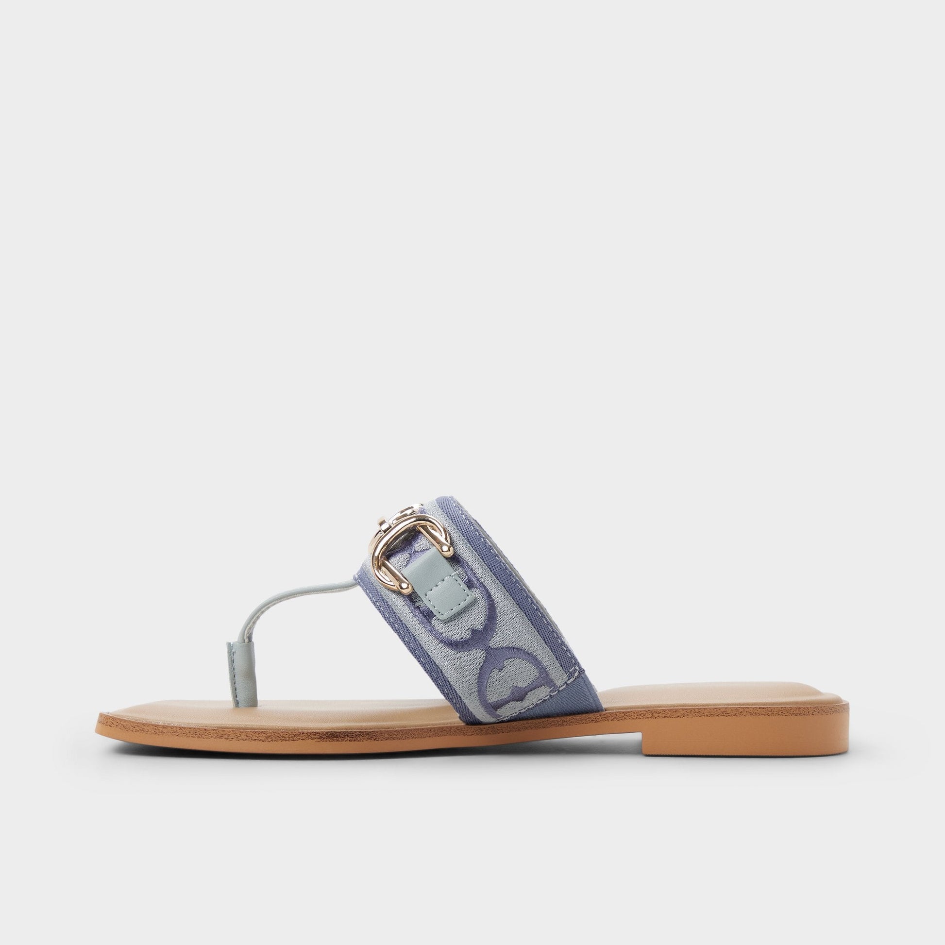 Coralynna in Other Blue - T-strap sandal Aldo Other Blue