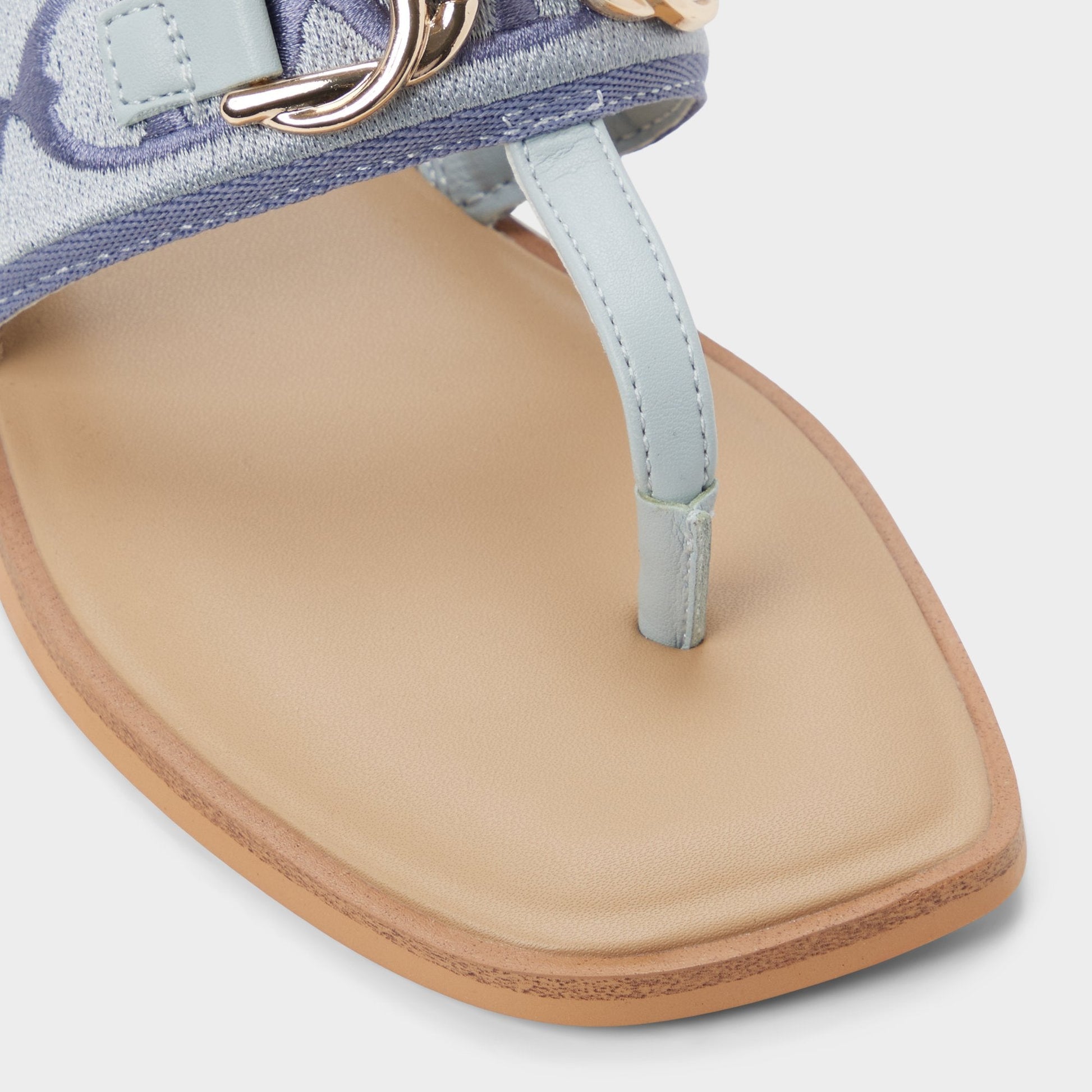 Coralynna in Other Blue - T-strap sandal Aldo Other Blue